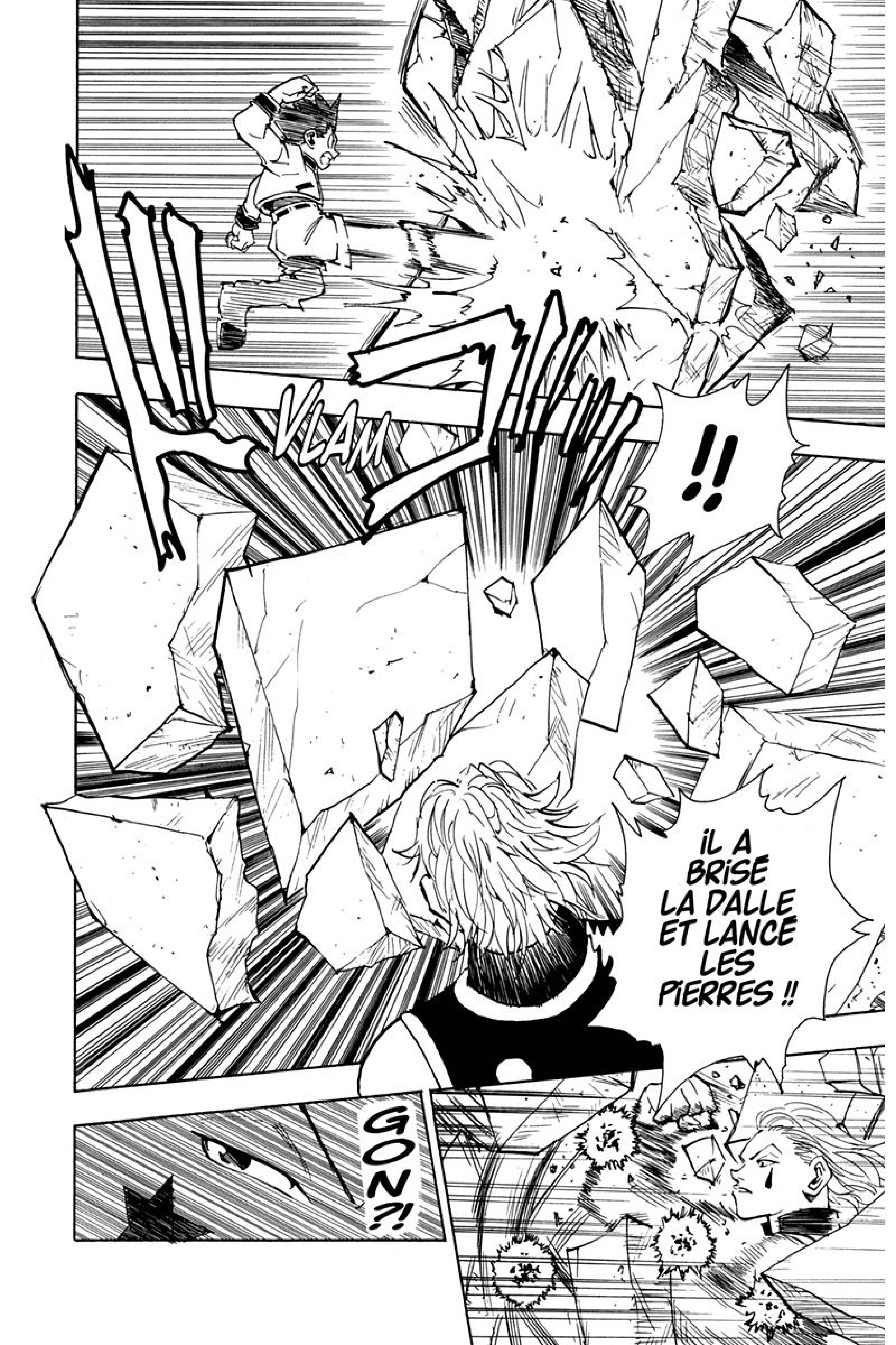 Read Hunter x Hunter FR Manga Online