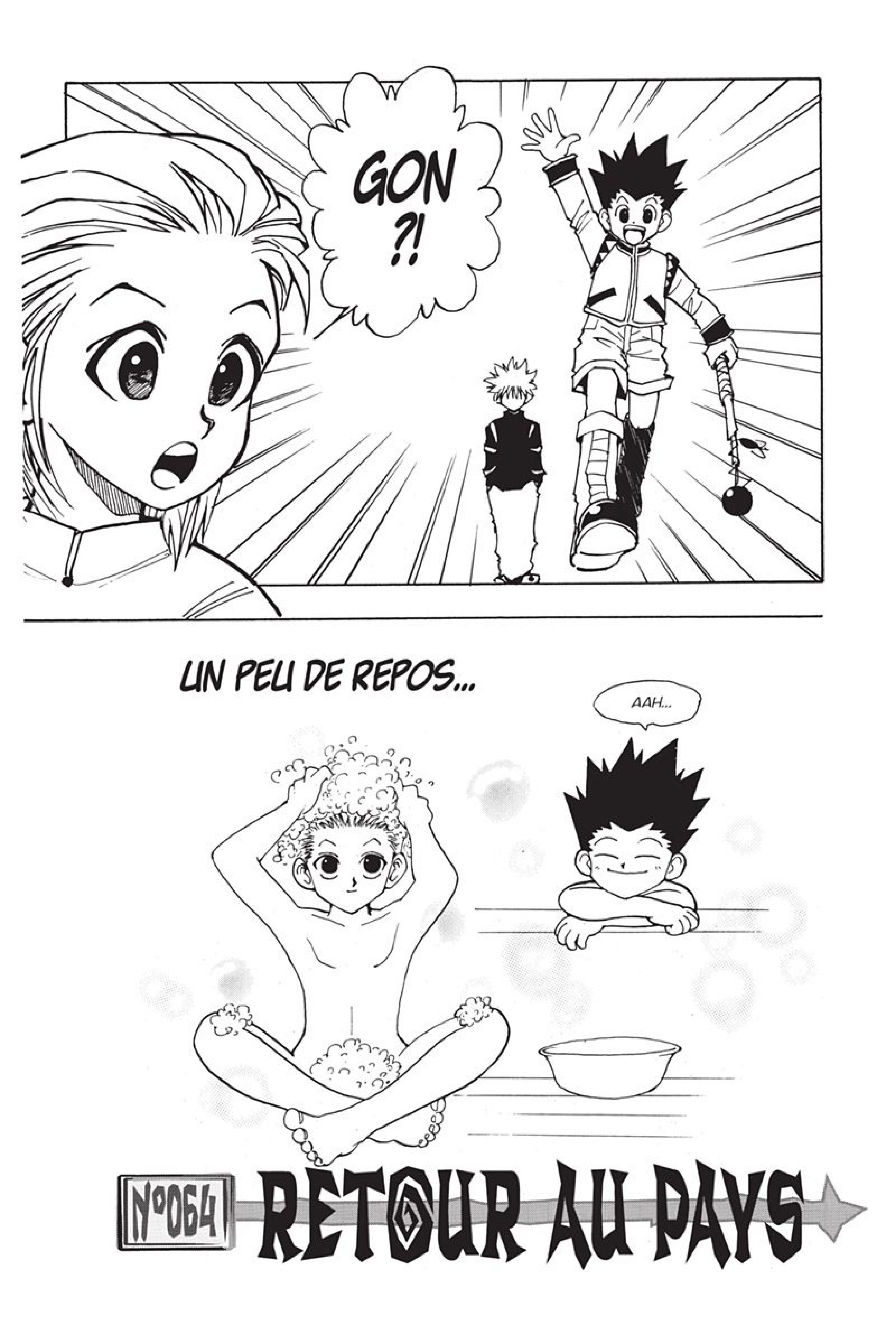 Read Hunter x Hunter FR Manga Online