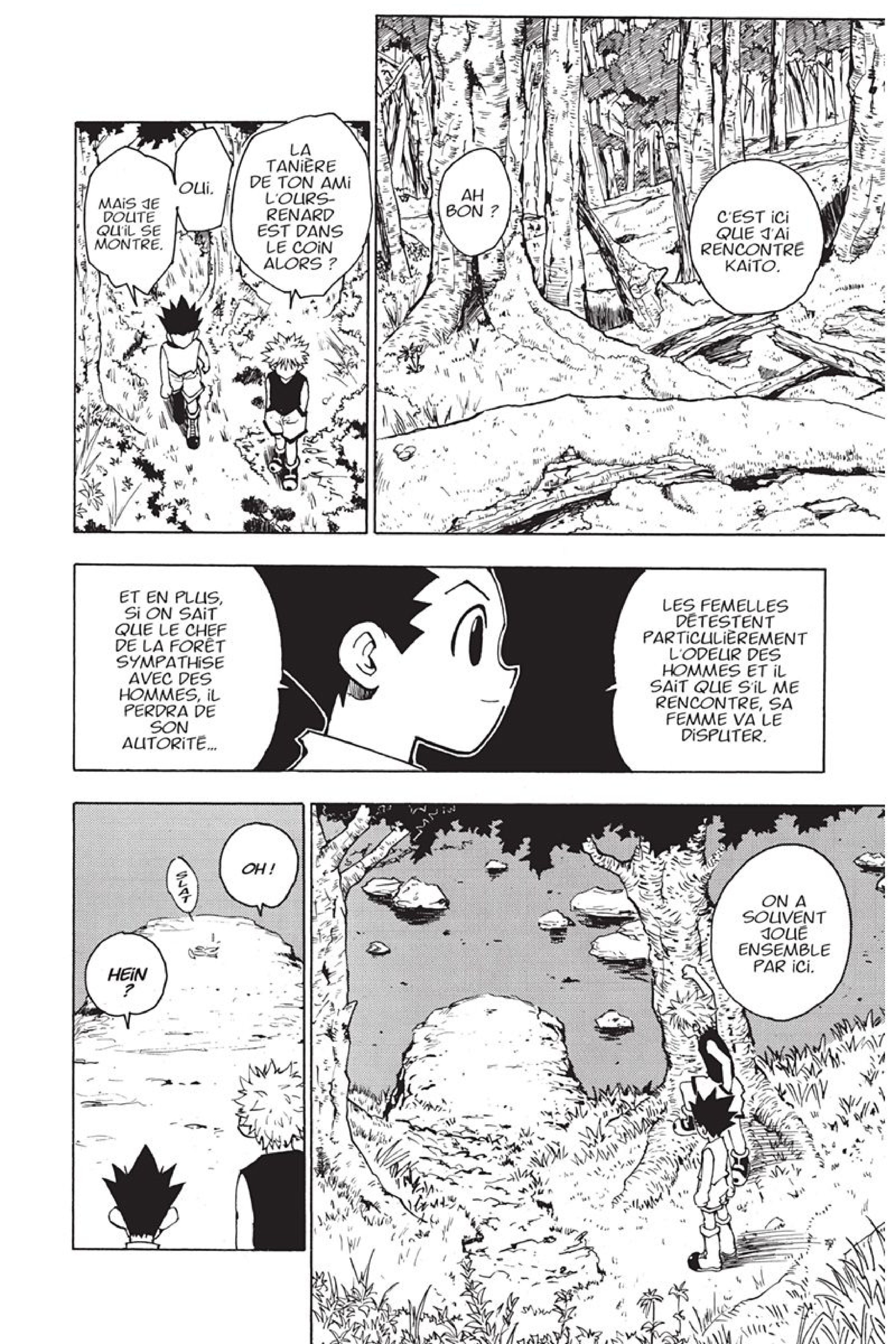 Read Hunter x Hunter FR Manga Online