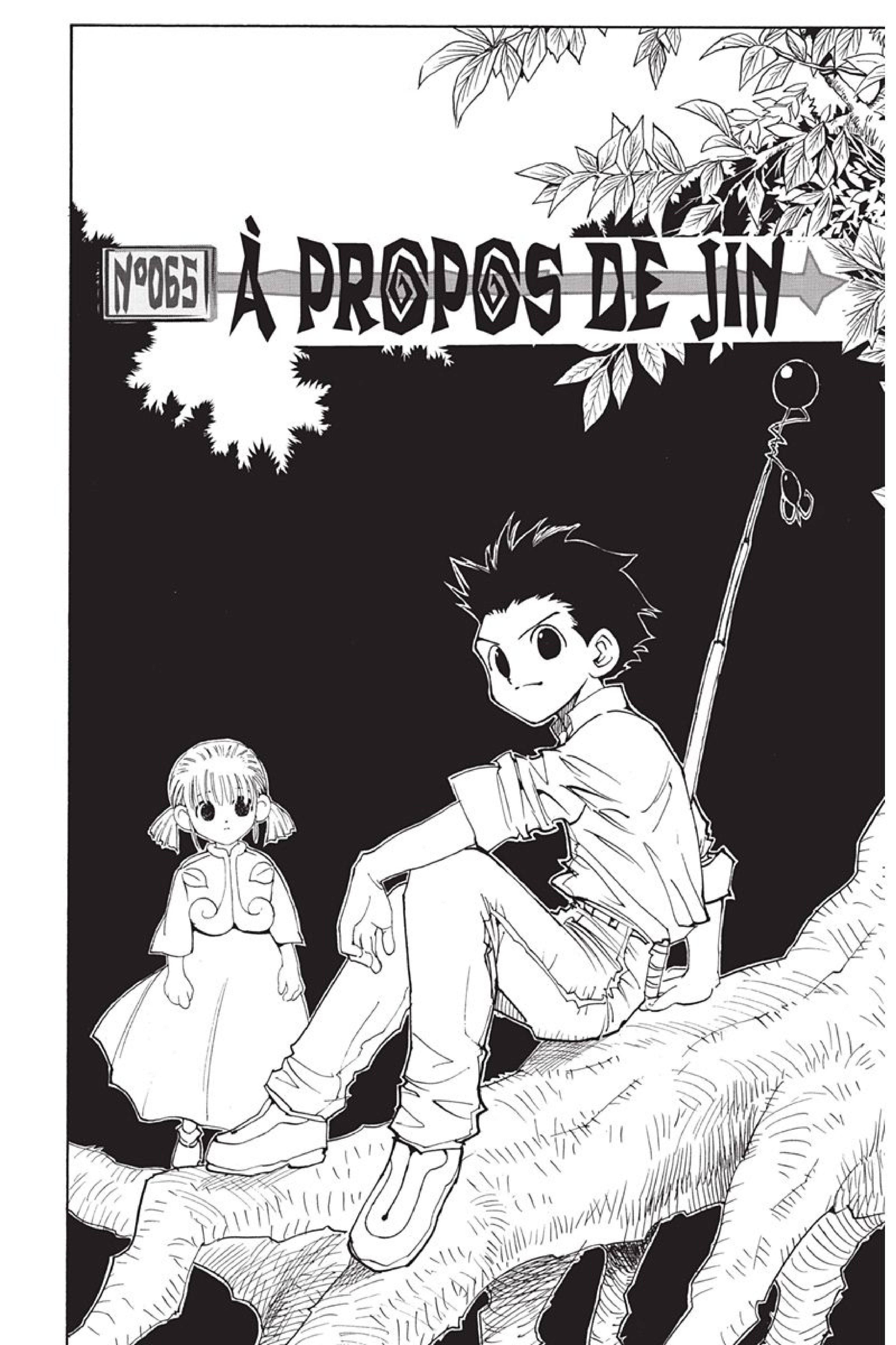 Read Hunter x Hunter FR Manga Online