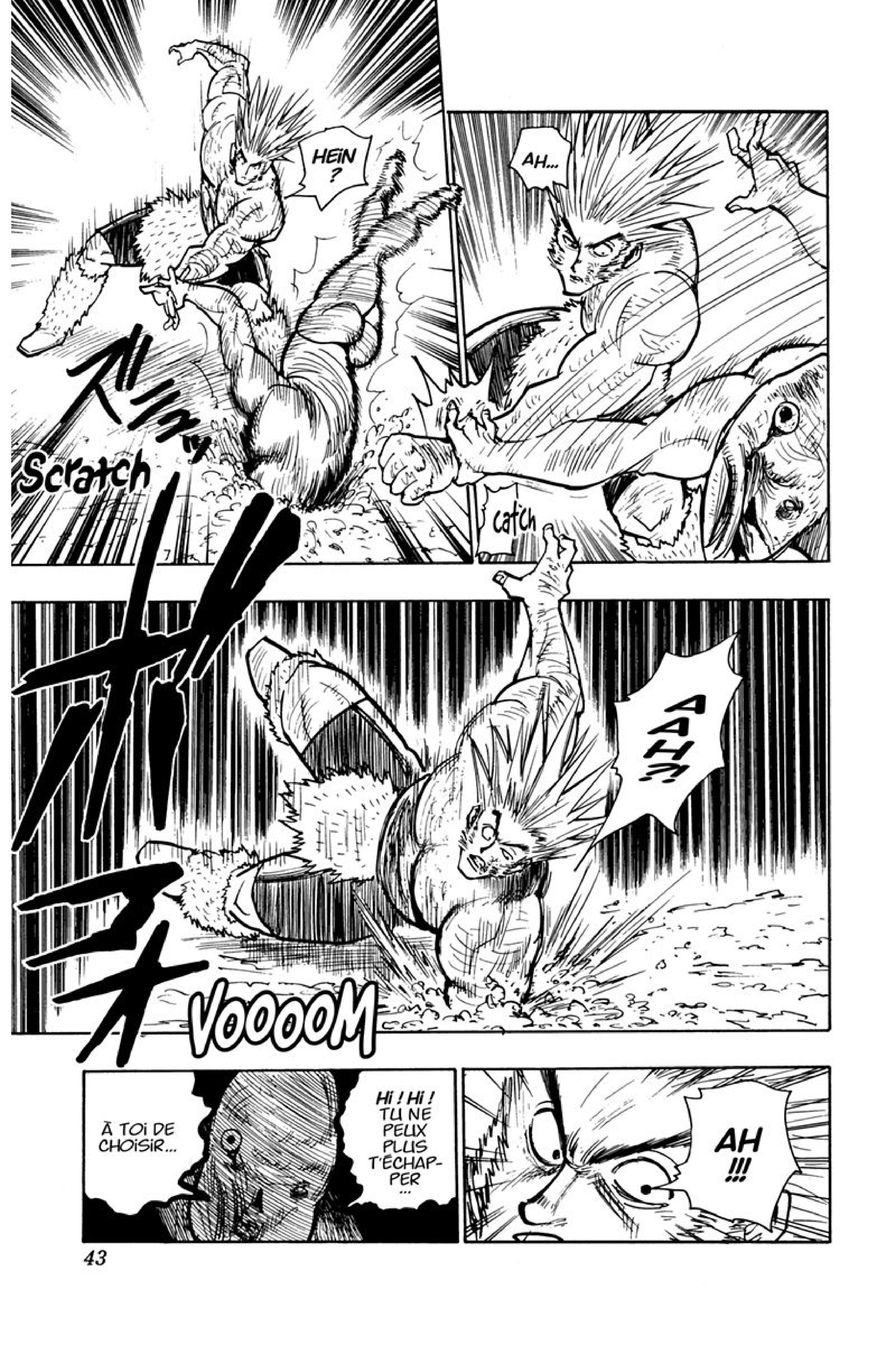 Read Hunter x Hunter FR Manga Online
