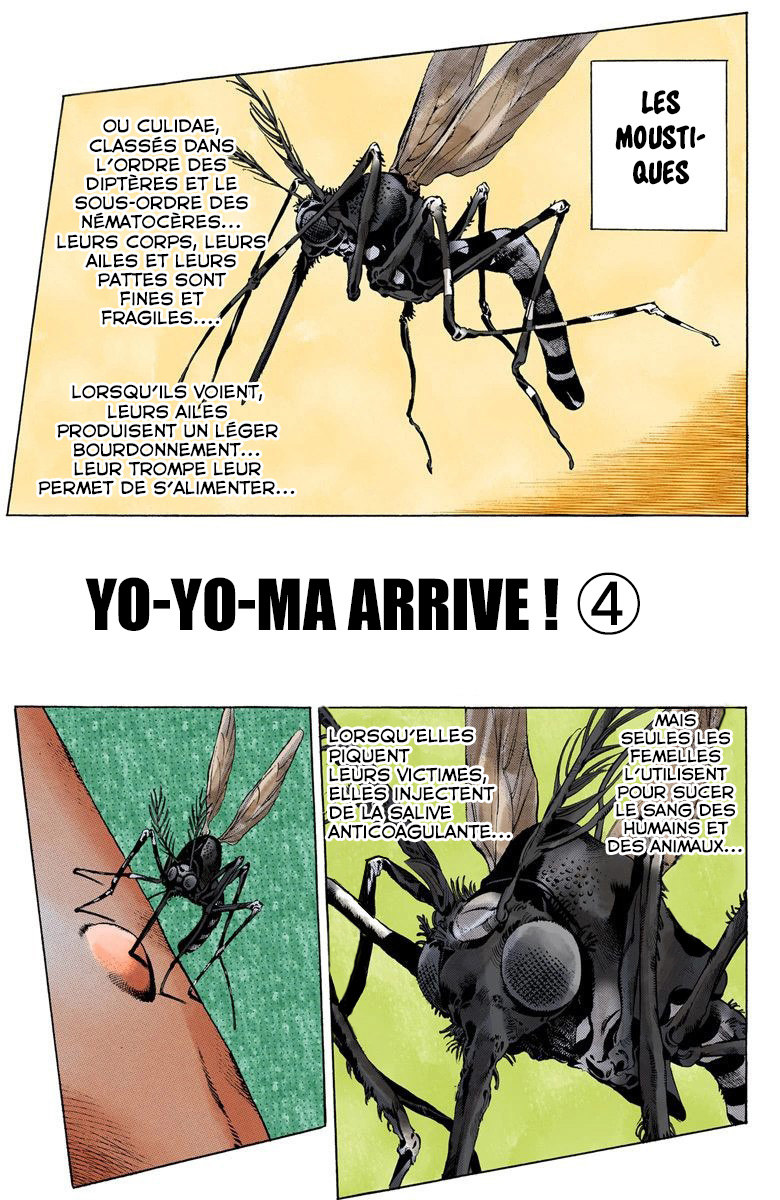 Read JoJo's Bizarre Adventure Part 6 Stone Ocean Official Colored FR Manga Online