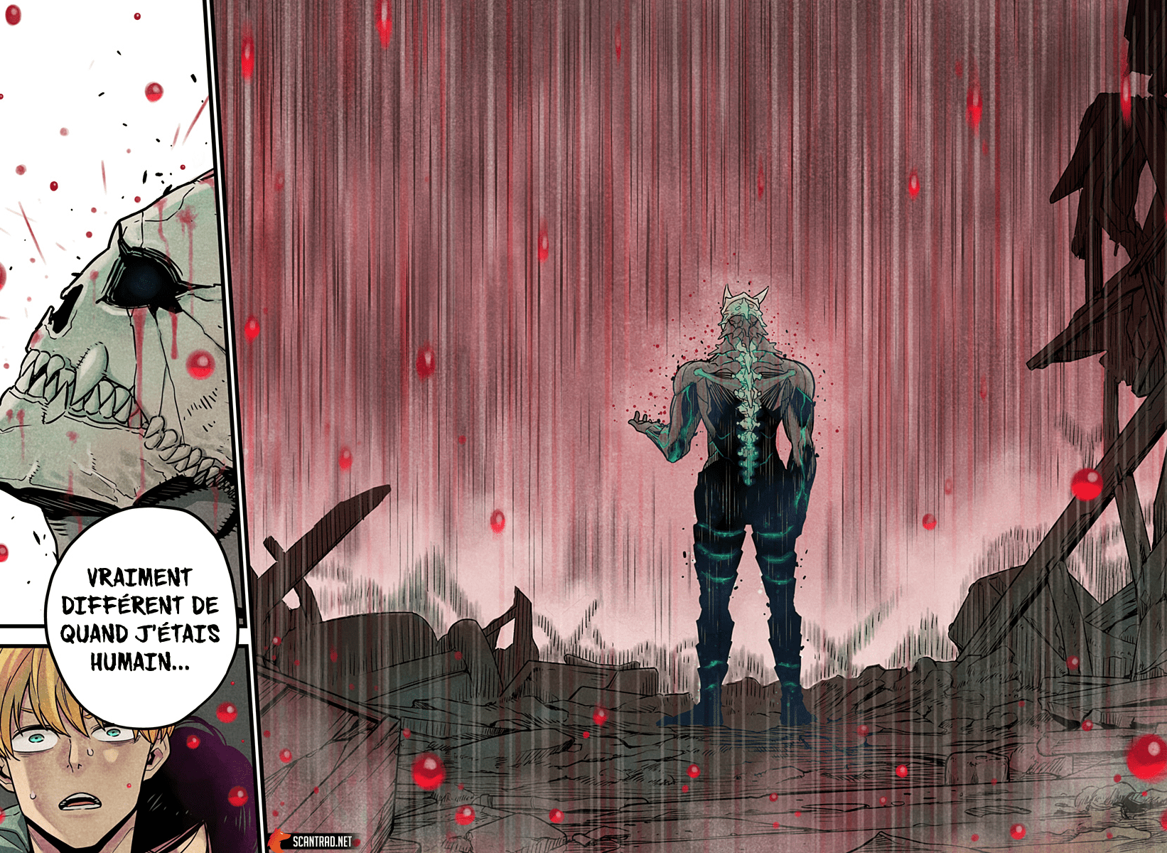 Read Kaiju No.8 FR Manga Online