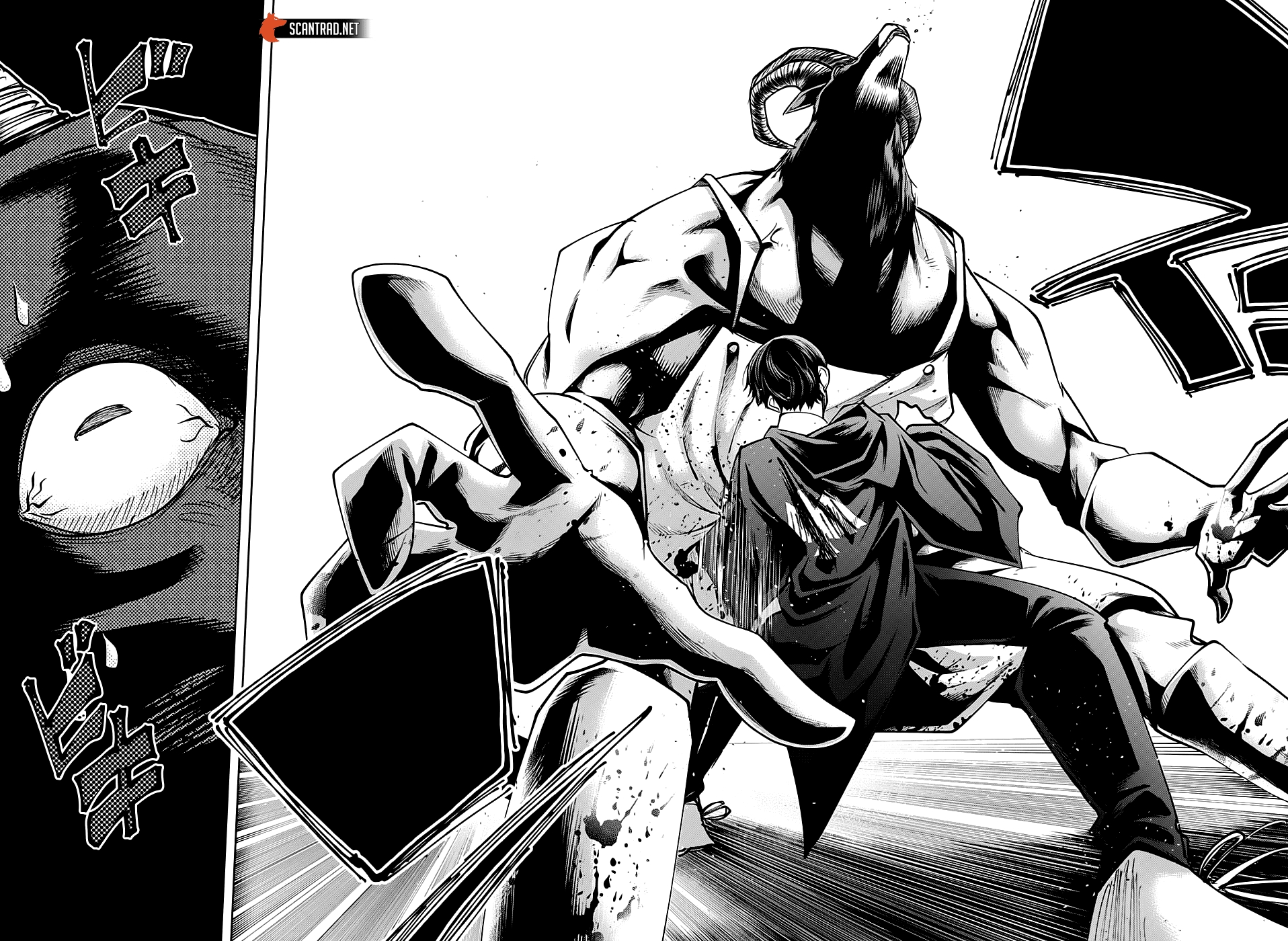 Read Mashle Magic and Muscles FR Manga Online