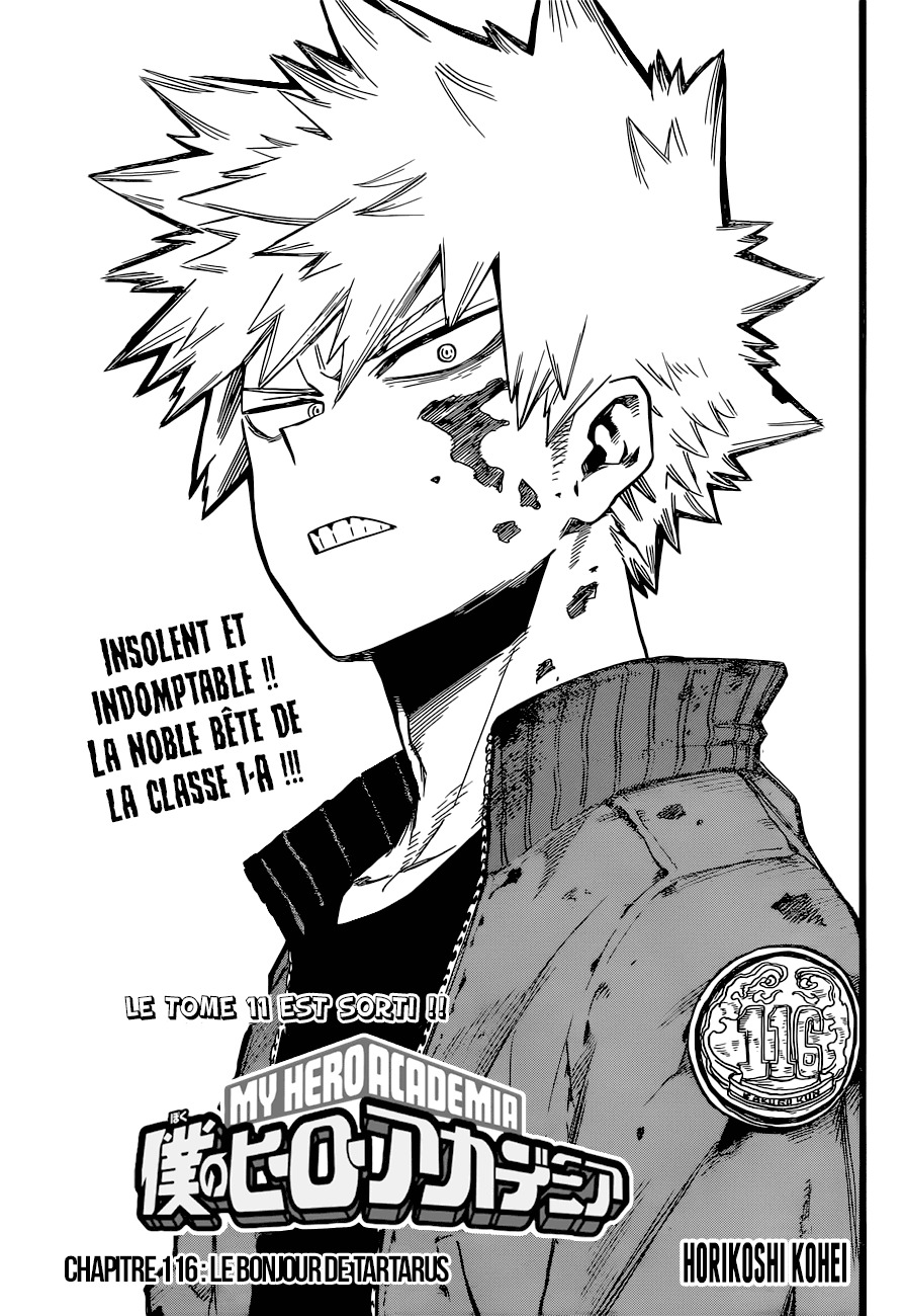 Read My Hero Academia FR Manga Online