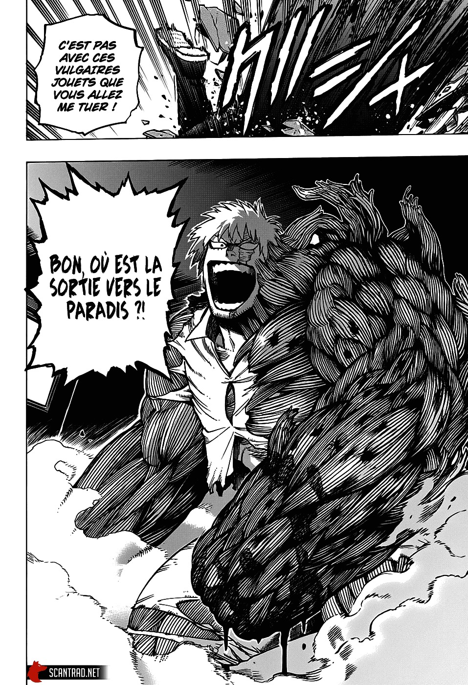 Read My Hero Academia FR Manga Online