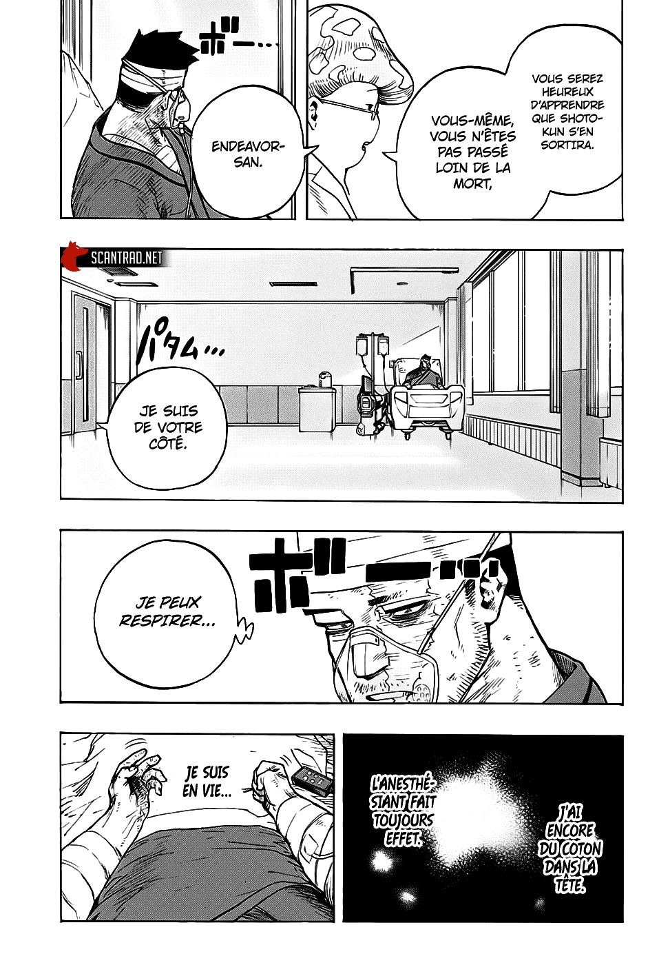 Read My Hero Academia FR Manga Online
