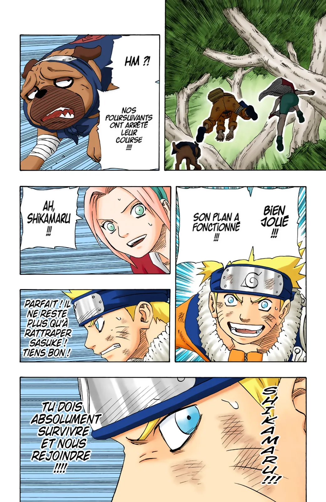 Read Naruto FR Manga Online