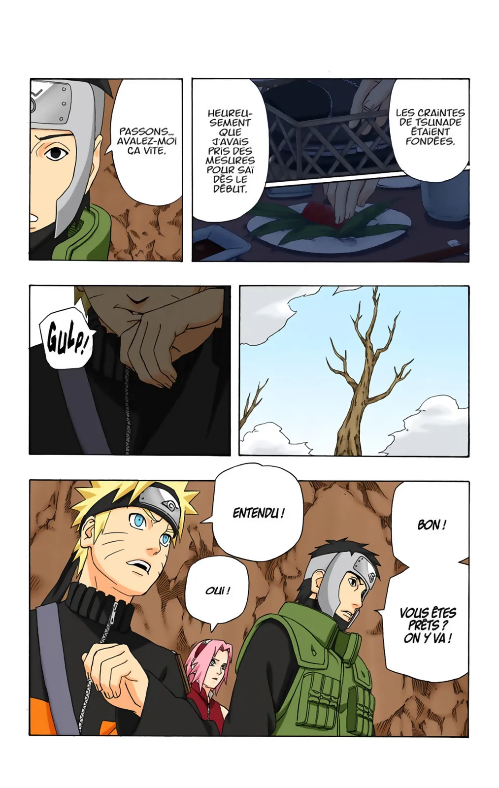 Read Naruto FR Manga Online