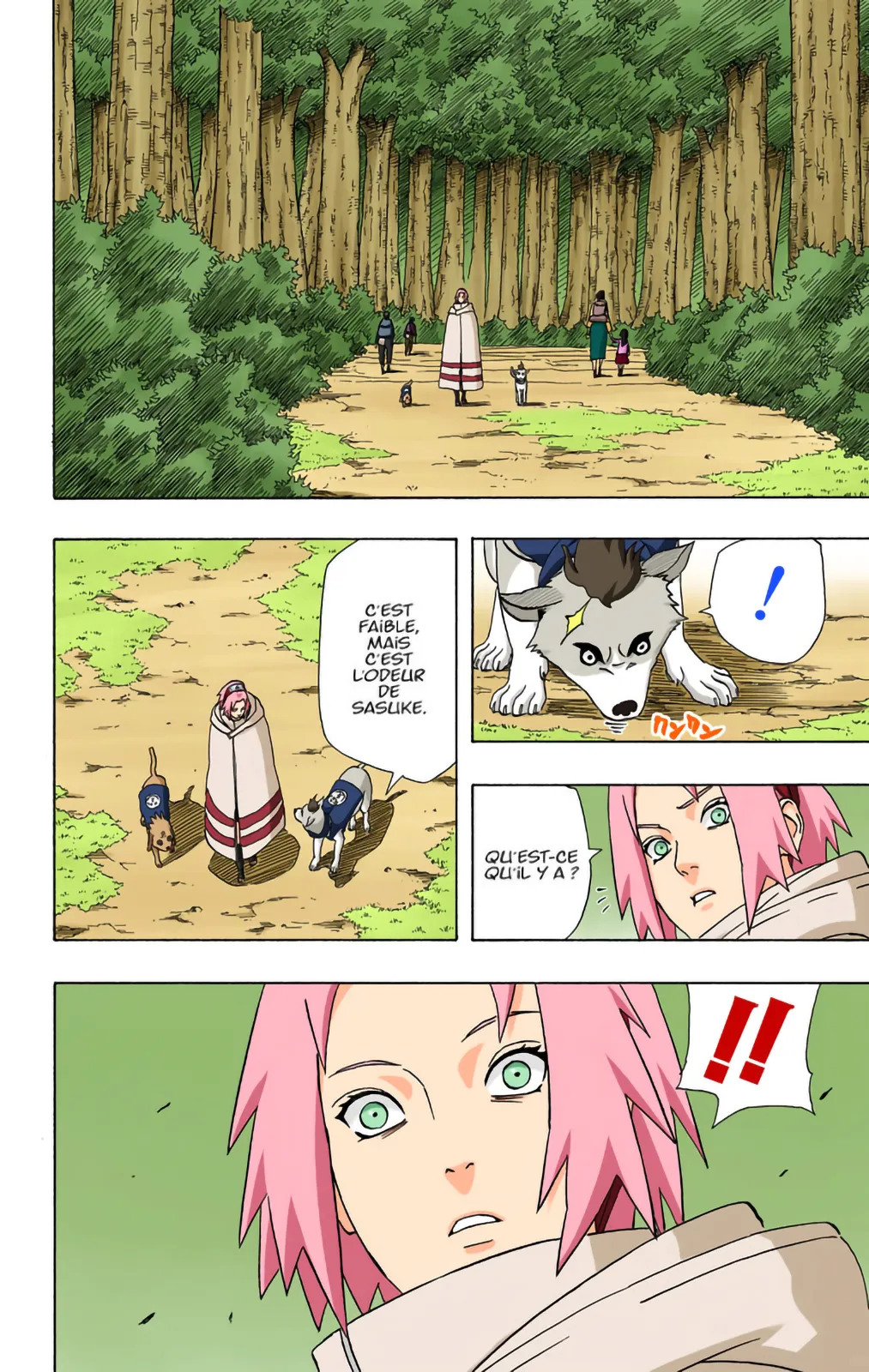 Read Naruto FR Manga Online