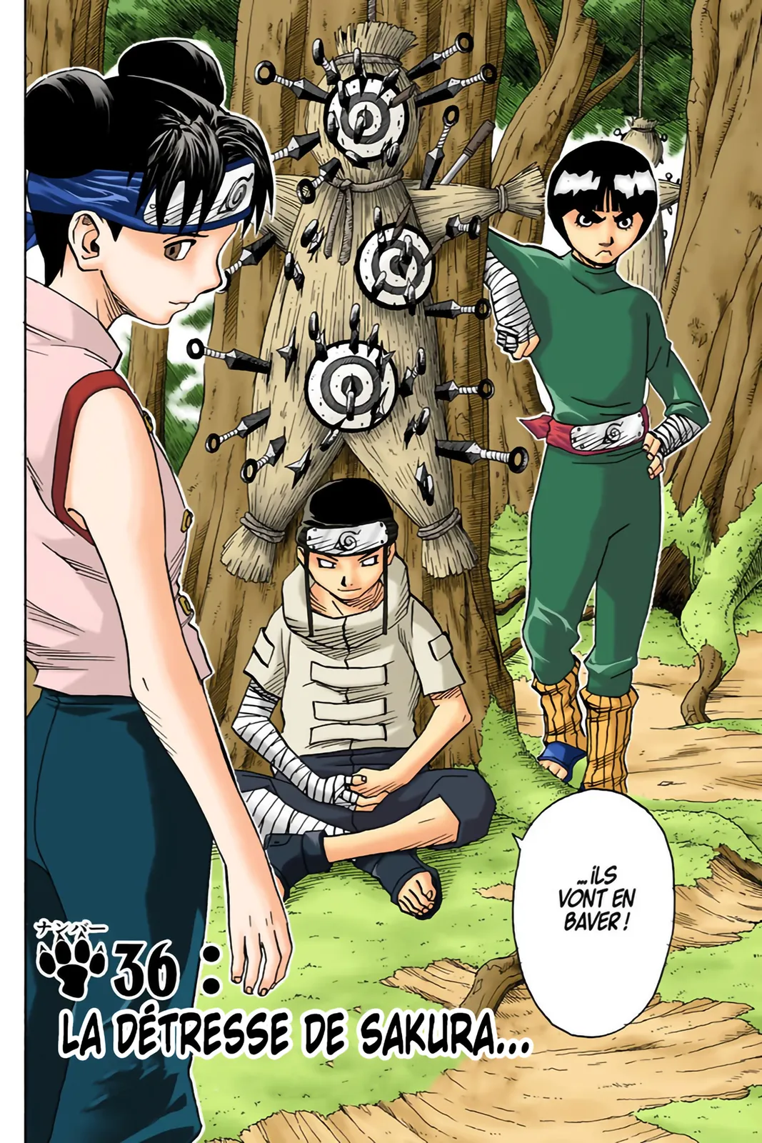 Read Naruto FR Manga Online