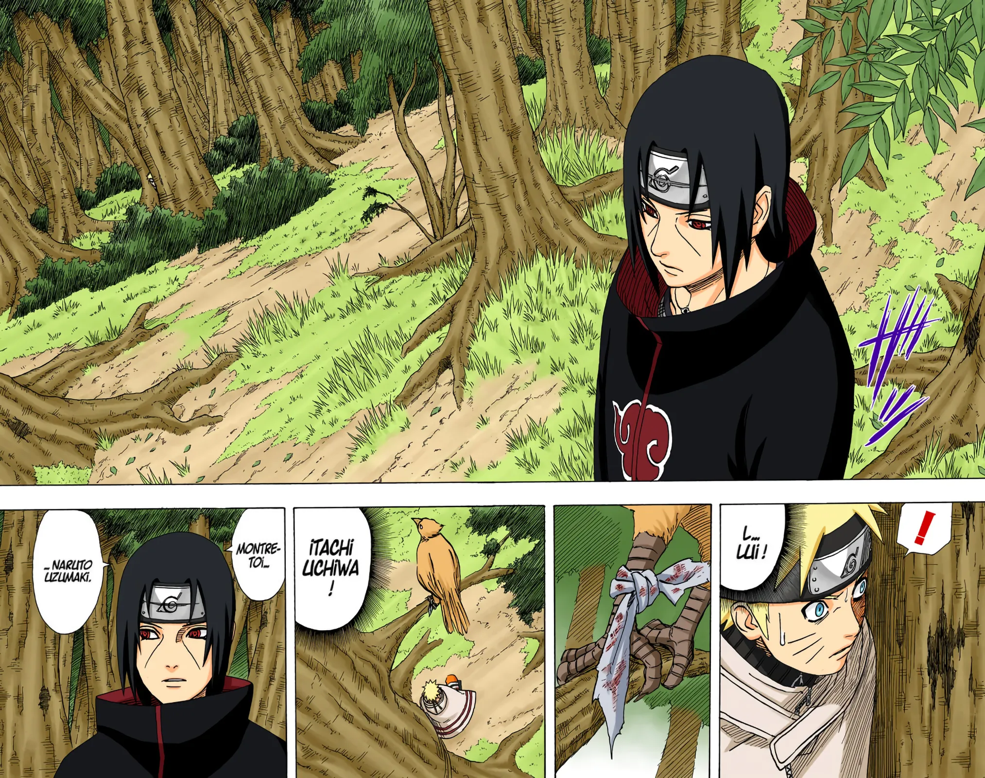 Read Naruto FR Manga Online
