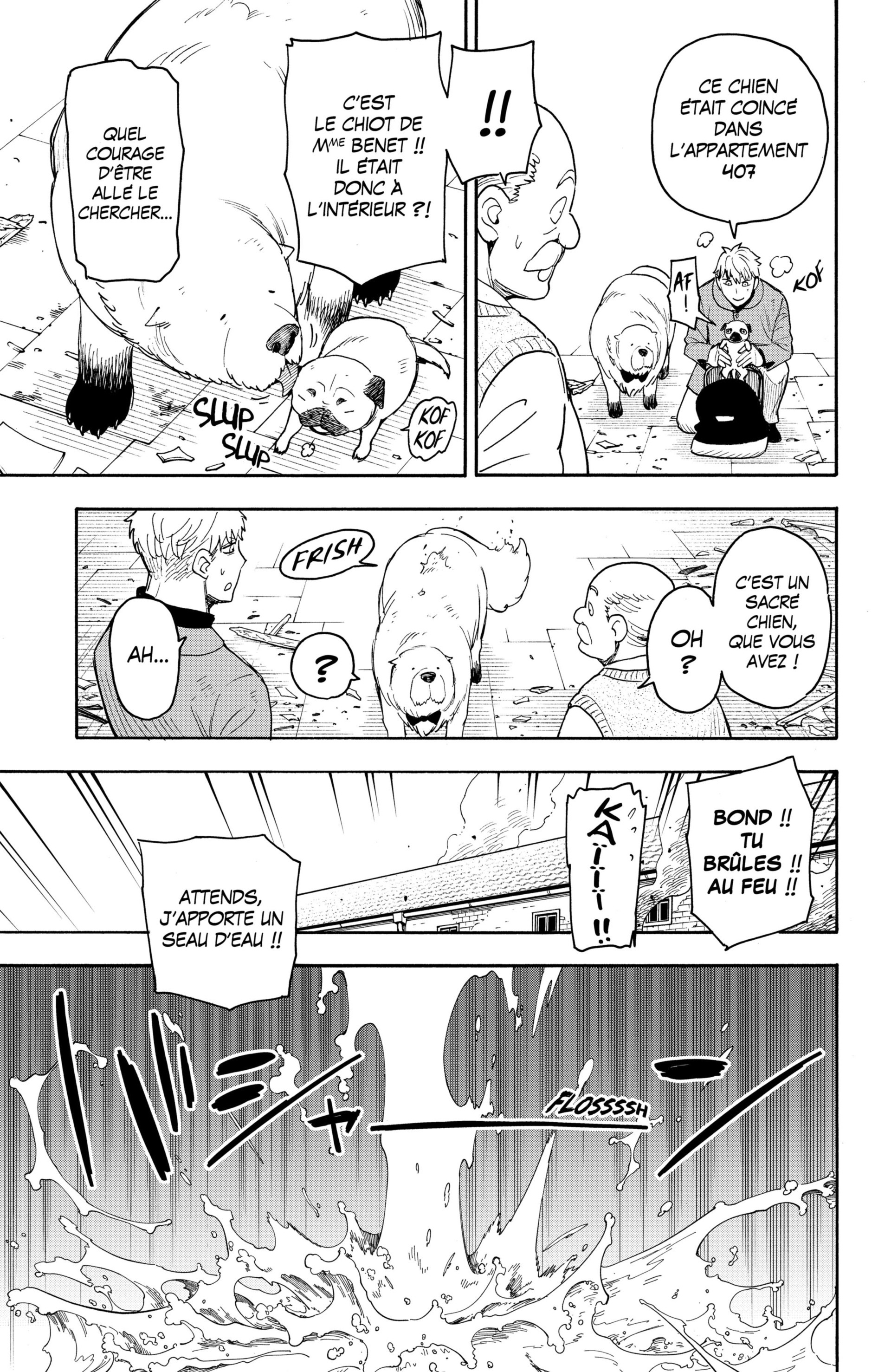 Read Spy x Family FR Manga Online