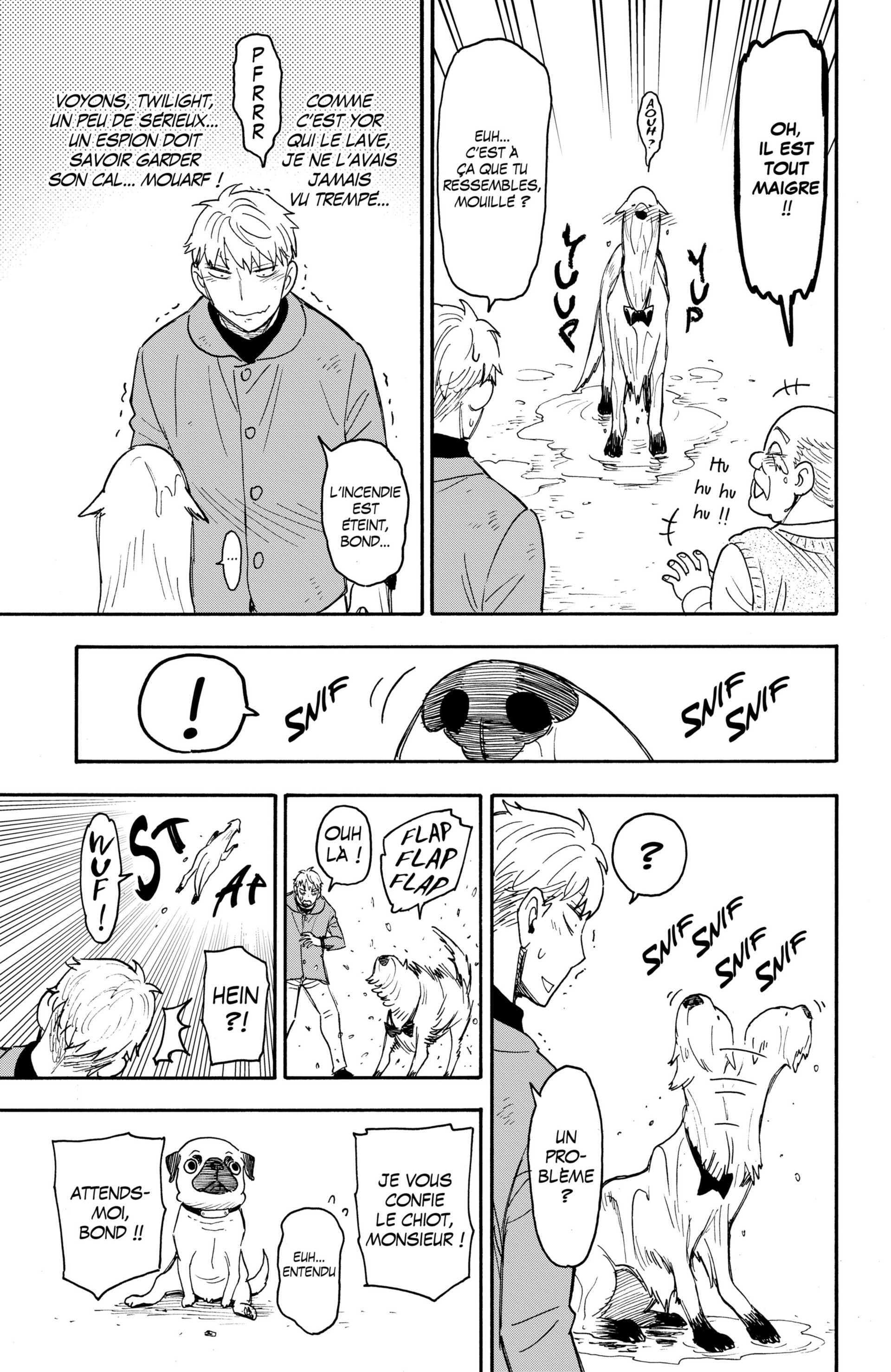 Read Spy x Family FR Manga Online