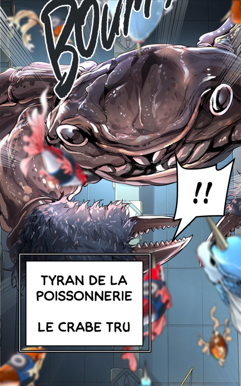 Read Tower of God FR Manga Online