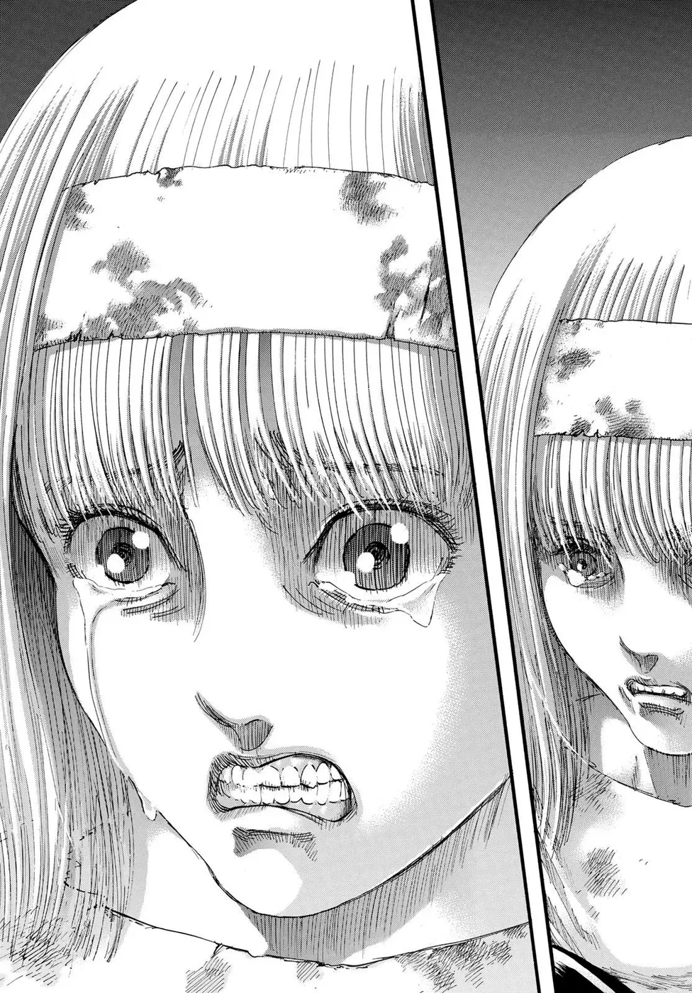 Read Attack on Titan PT-BR Manga Online