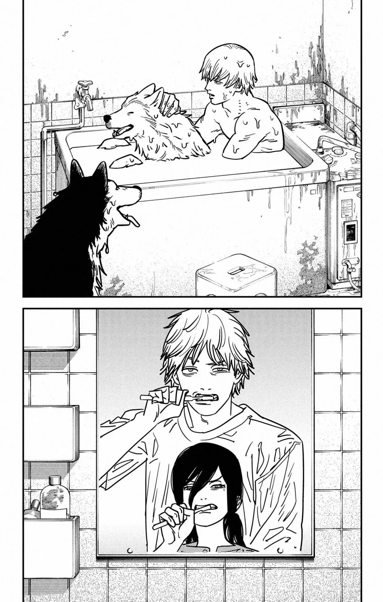 Read Chainsaw Man PT-BR Manga Online
