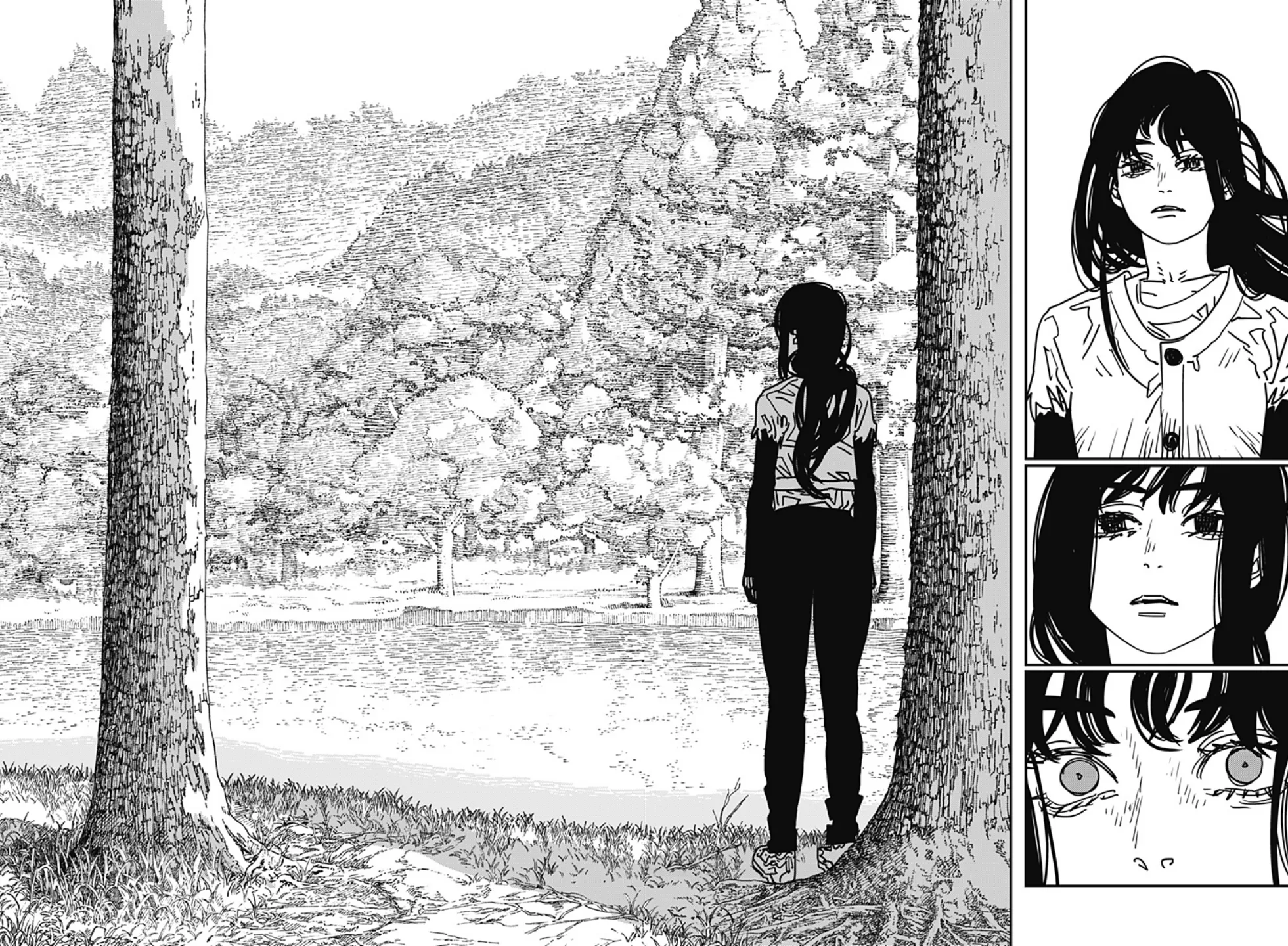 Read Chainsaw Man PT-BR Manga Online