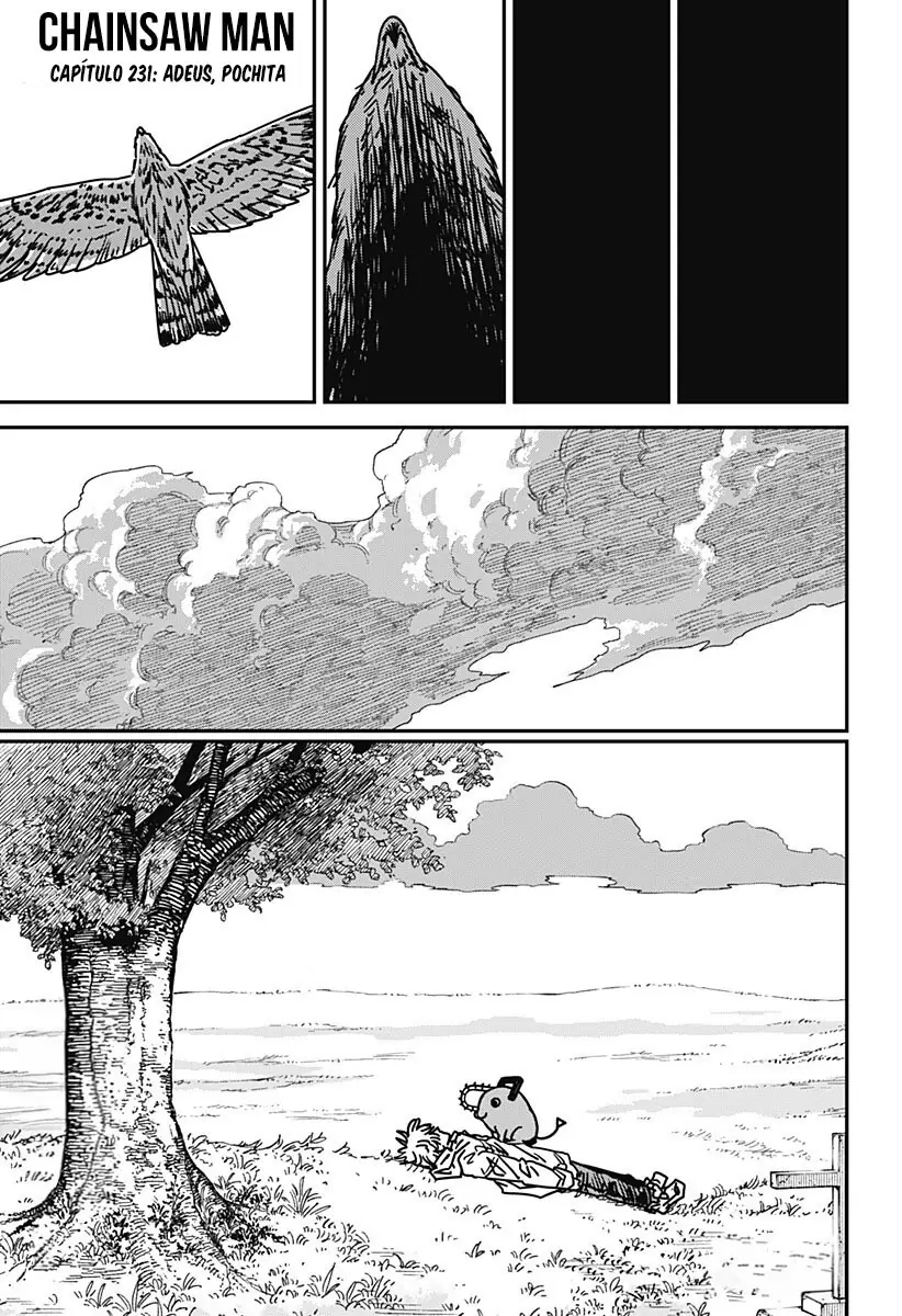Read Chainsaw Man PT-BR Manga Online