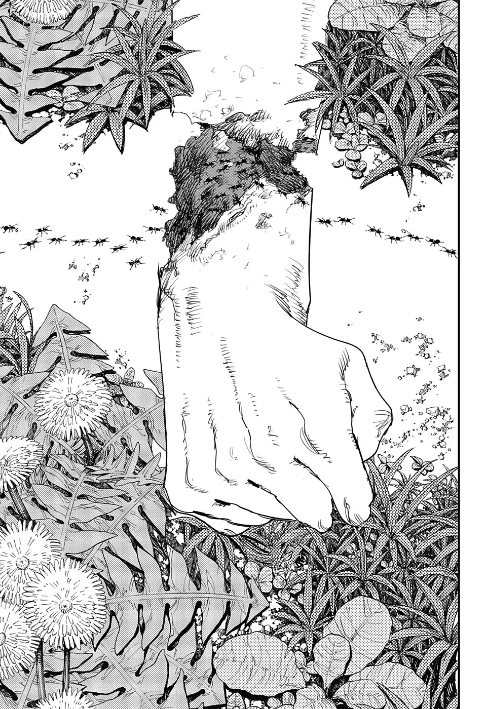 Read Chainsaw Man PT-BR Manga Online