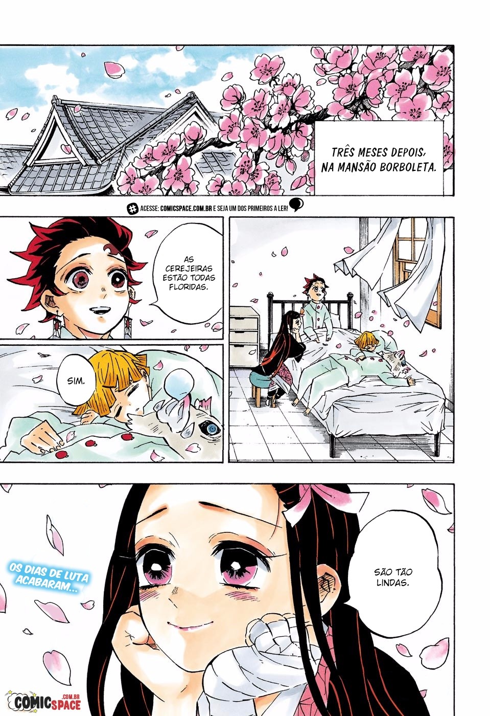 Read Demon Slayer Kimetsu no Yaiba PT-BR Manga Online