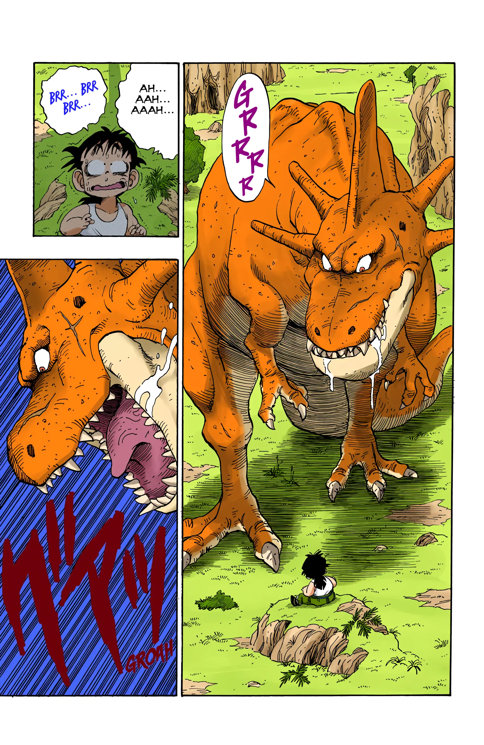 Read Dragon Ball PT-BR Manga Online