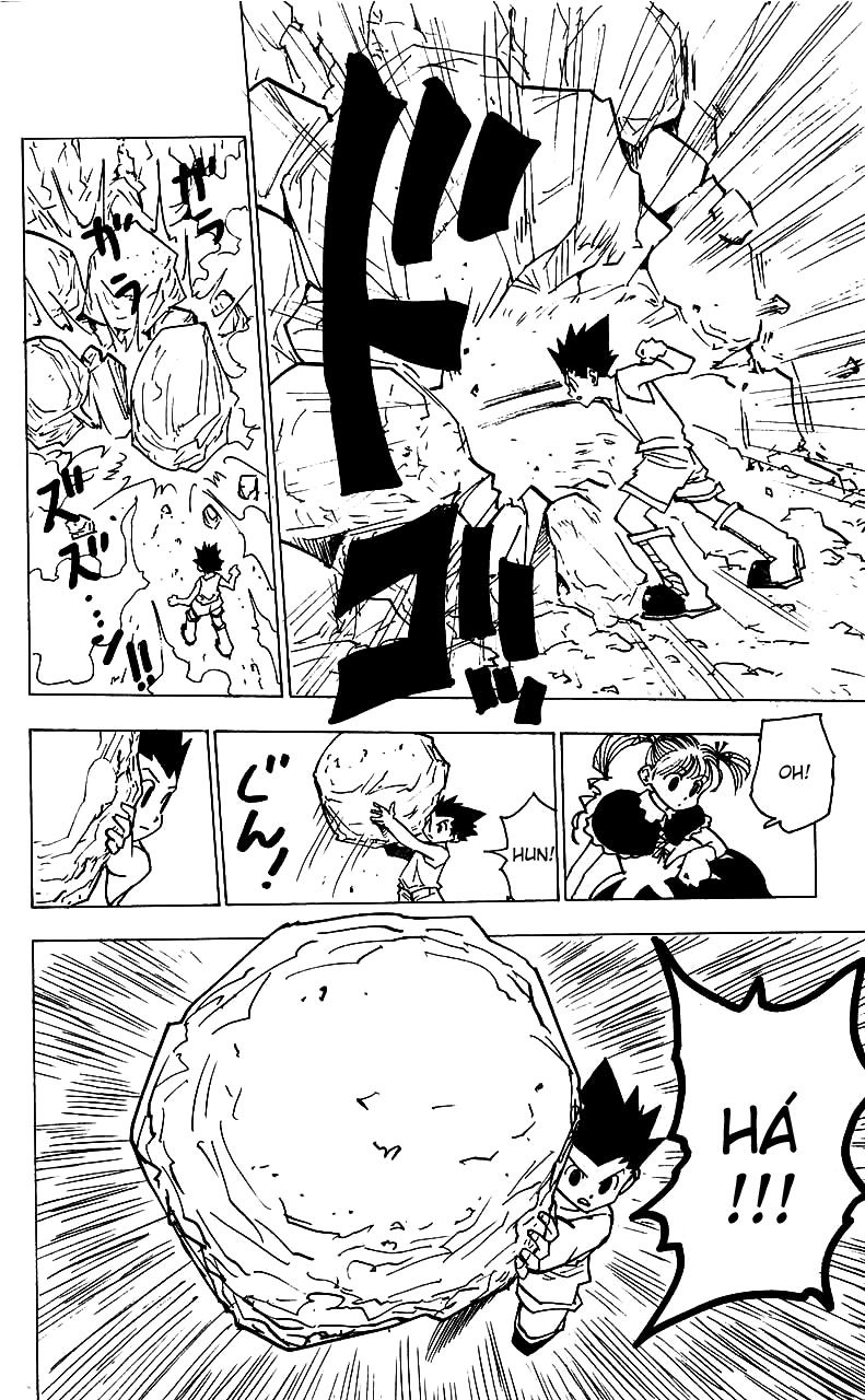 Read Hunter x Hunter PT-BR Manga Online