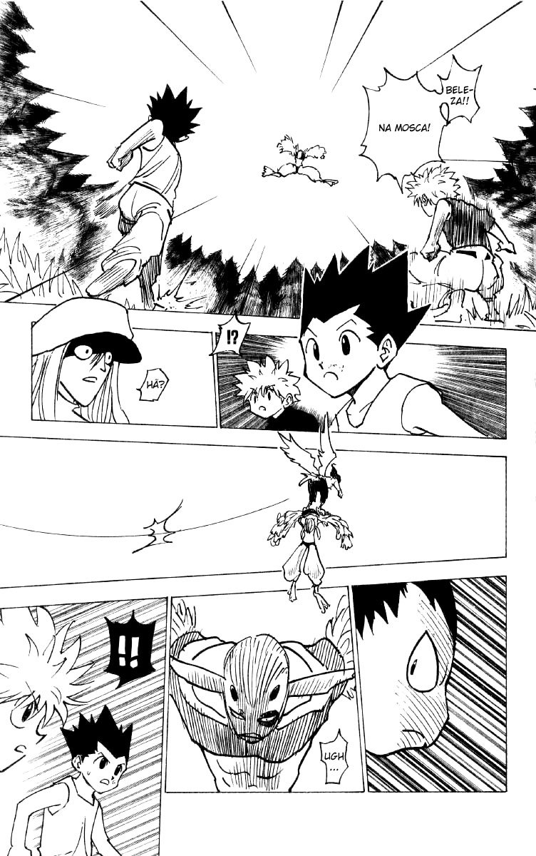 Read Hunter x Hunter PT-BR Manga Online