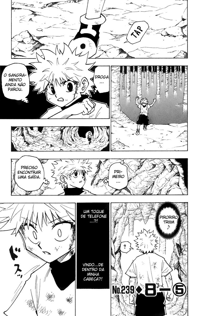 Read Hunter x Hunter PT-BR Manga Online