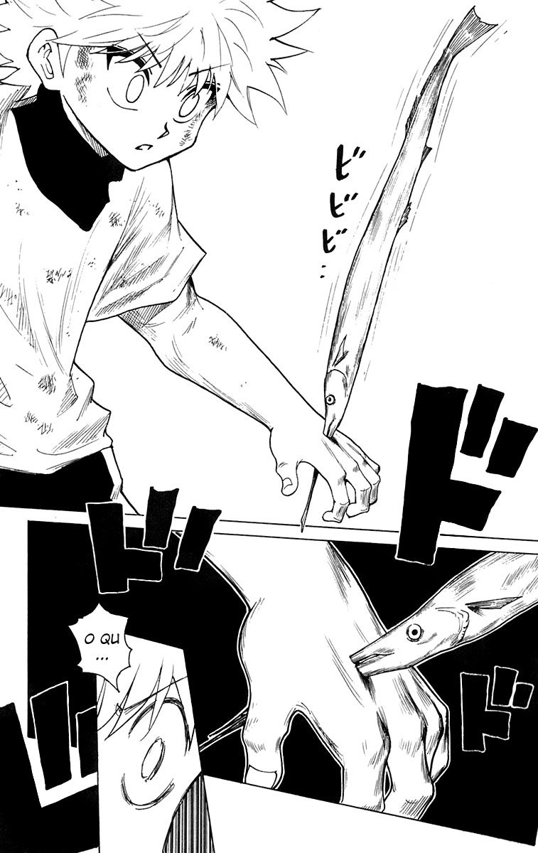Read Hunter x Hunter PT-BR Manga Online