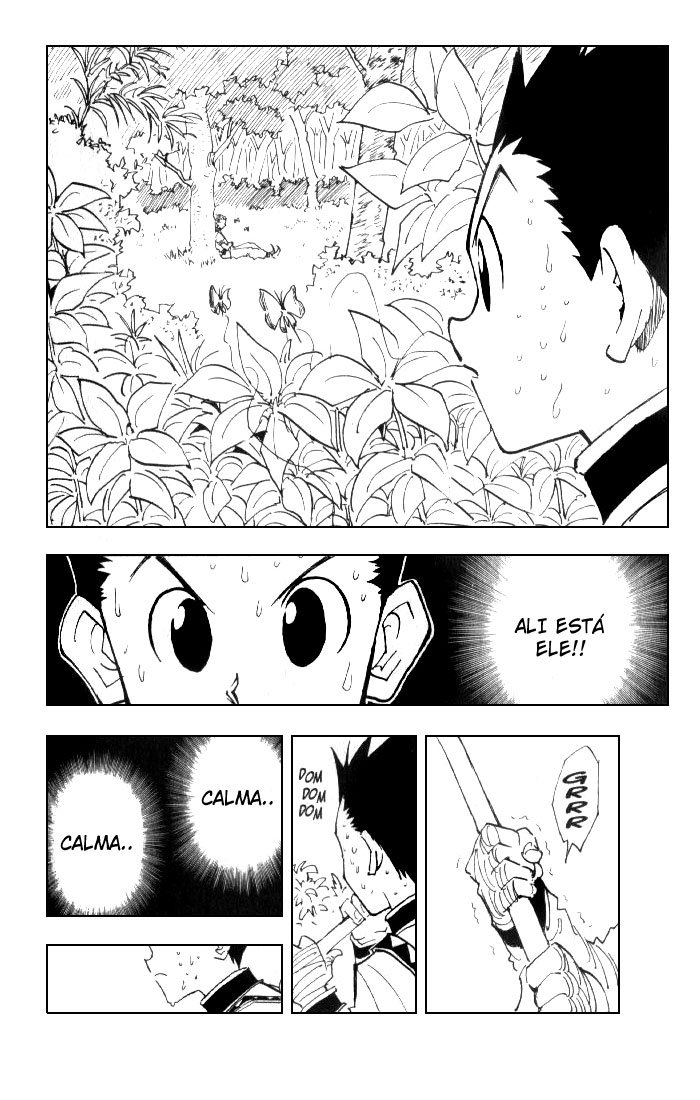 Read Hunter x Hunter PT-BR Manga Online