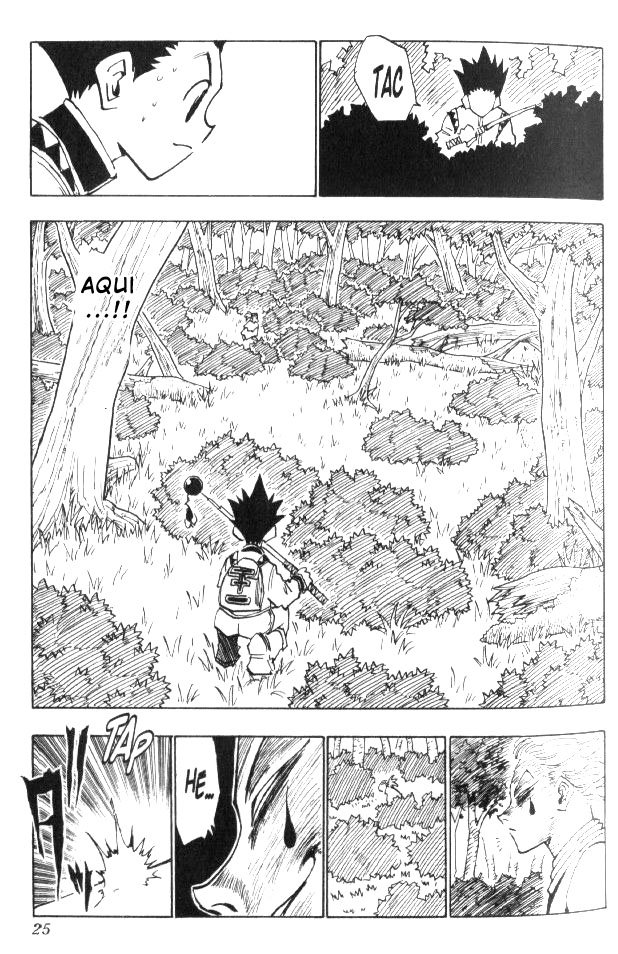 Read Hunter x Hunter PT-BR Manga Online