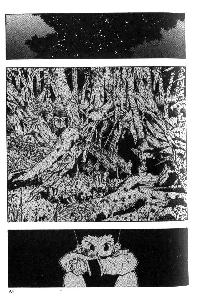 Read Hunter x Hunter PT-BR Manga Online