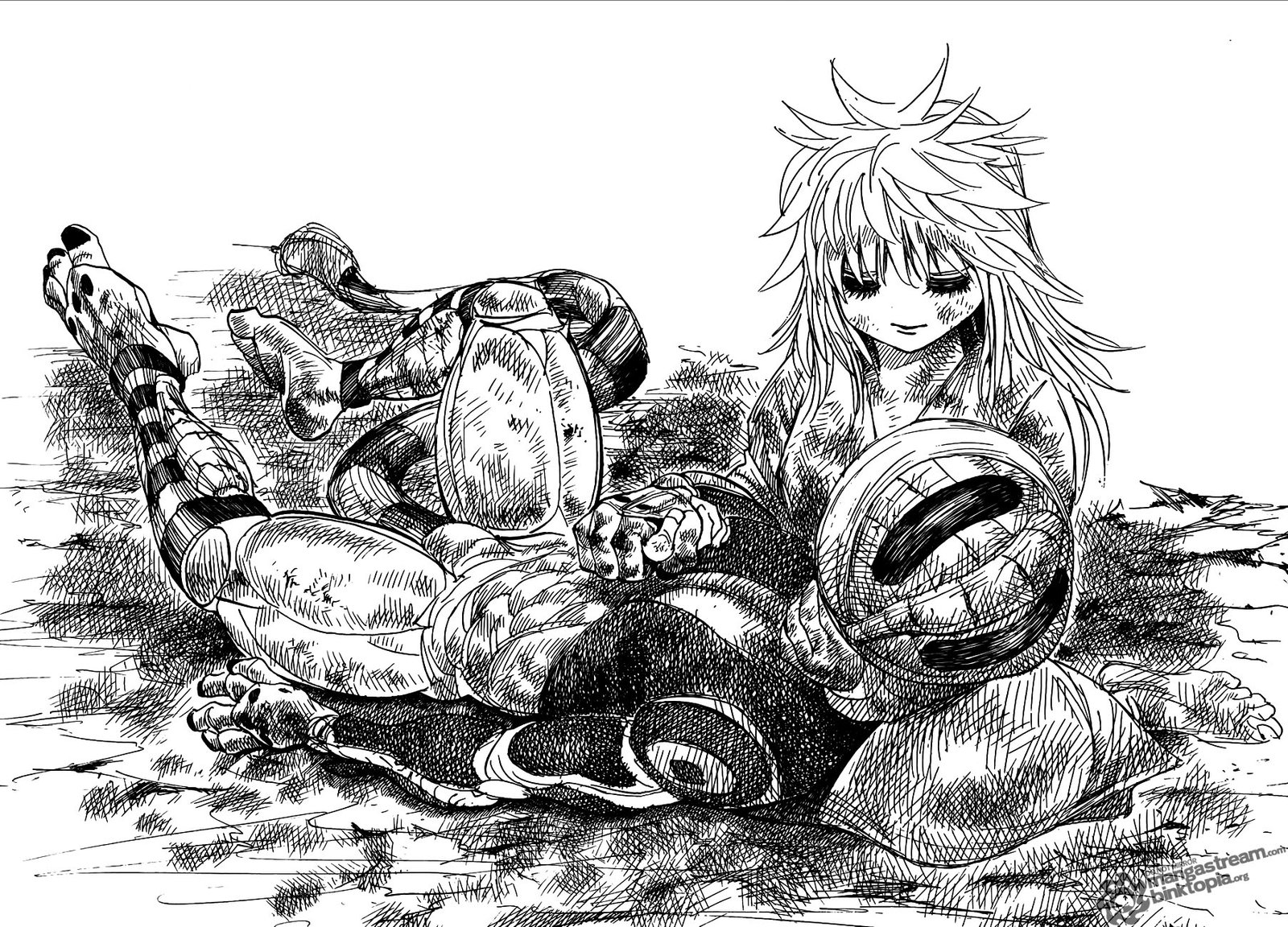 Read Hunter x Hunter PT-BR Manga Online