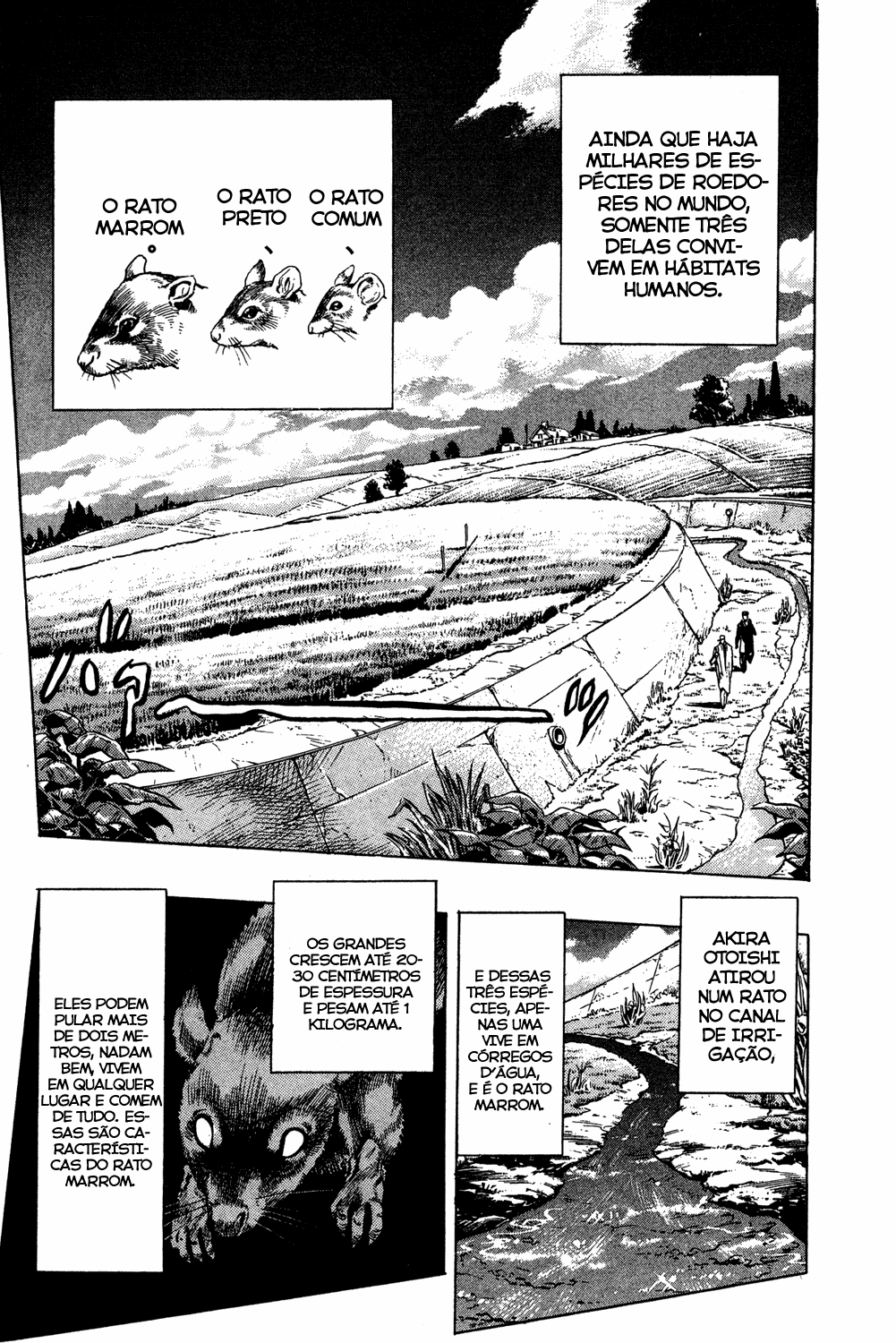 Read JoJo's Bizarre Adventure Part 4  Diamond is Unbreakable PT-BR Manga Online