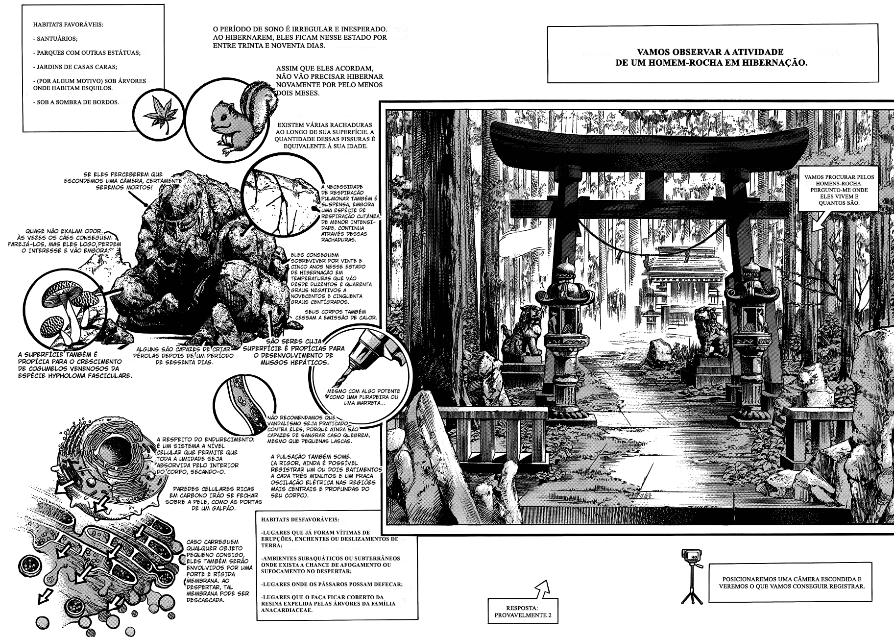 Read JoJo's Bizarre Adventure Part 8  JoJolion PT-BR Manga Online