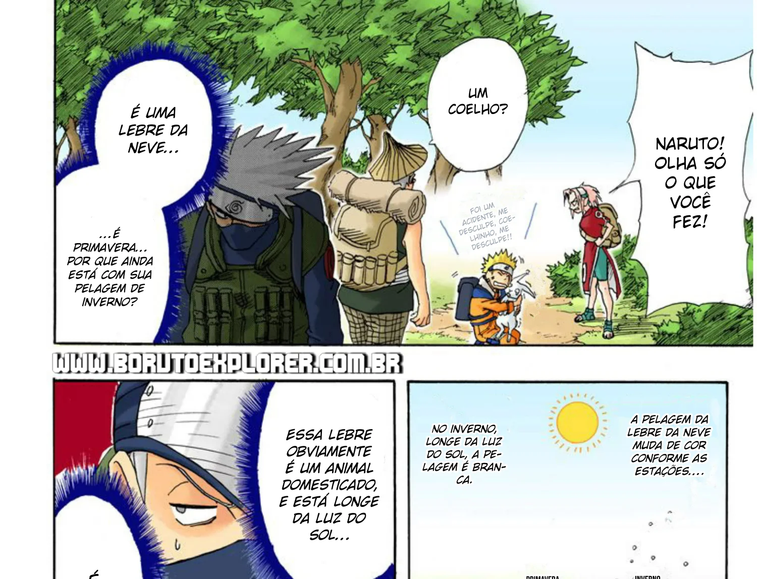 Read Naruto (Colorido) PT-BR Manga Online