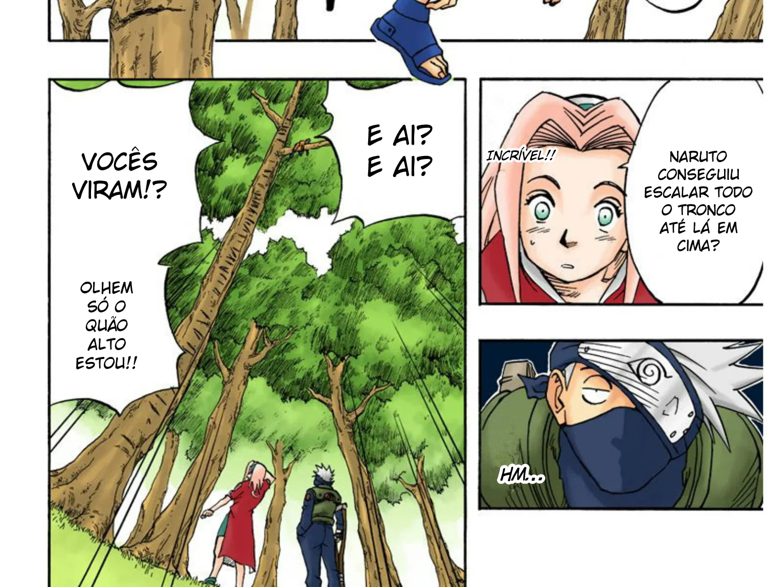 Read Naruto (Colorido) PT-BR Manga Online