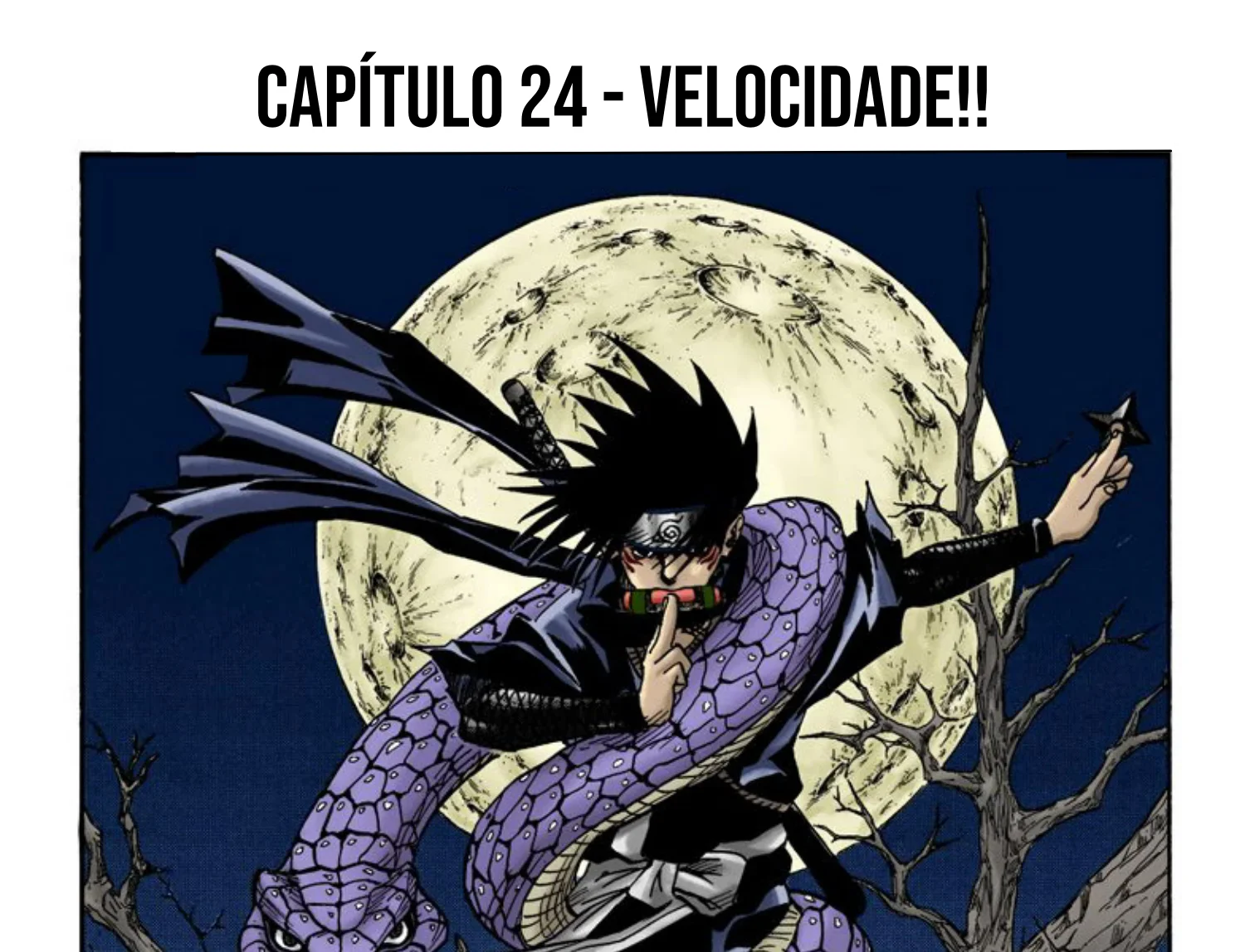 Read Naruto (Colorido) PT-BR Manga Online