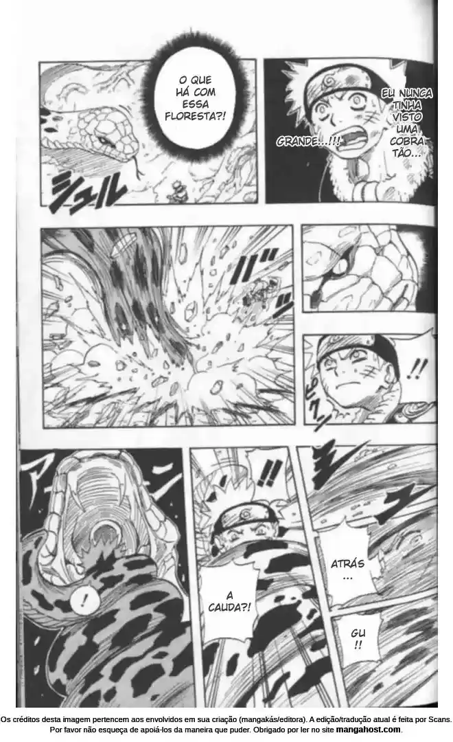 Read Naruto PT-BR Manga Online