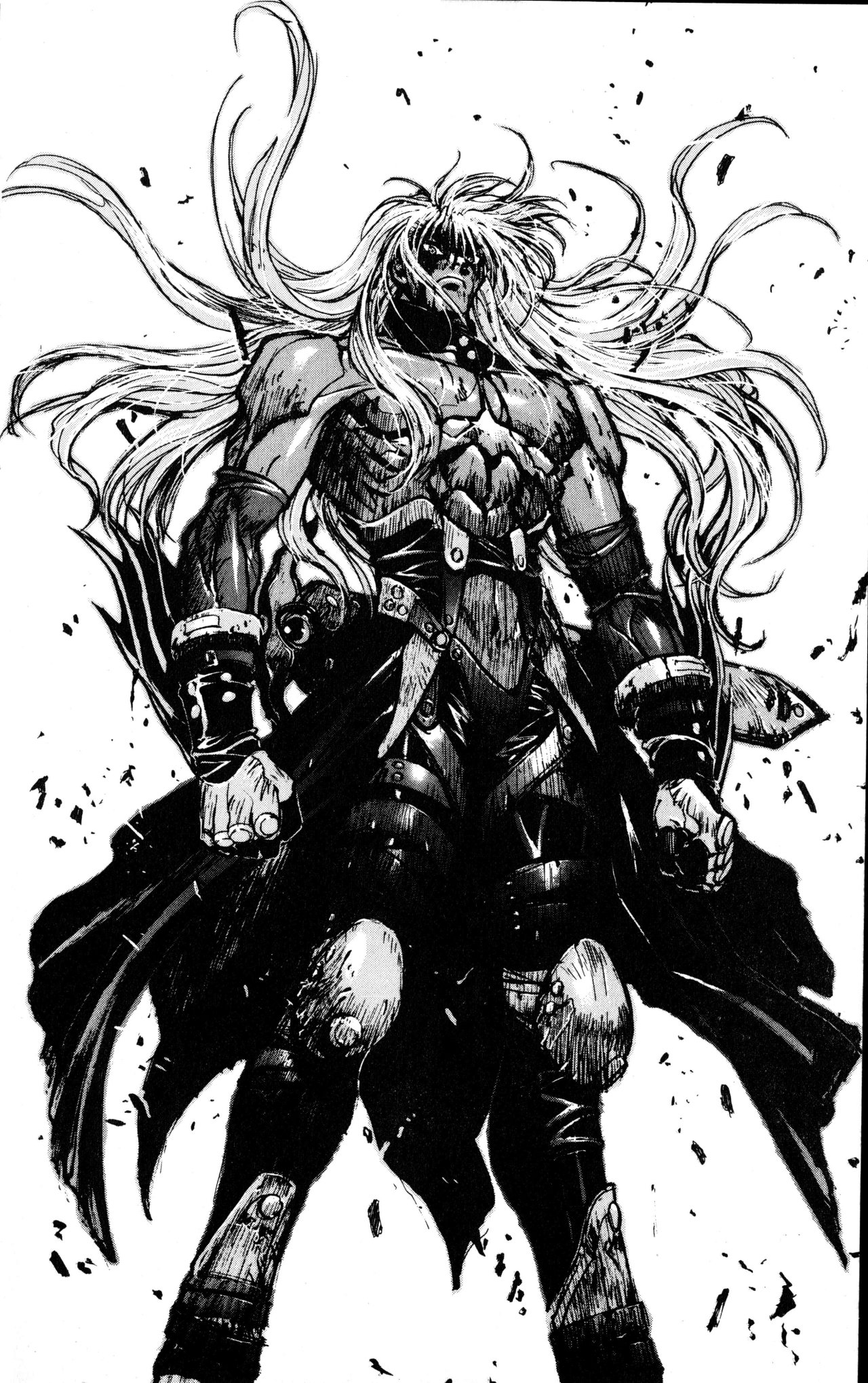 Read Bastard!! ES Manga Online