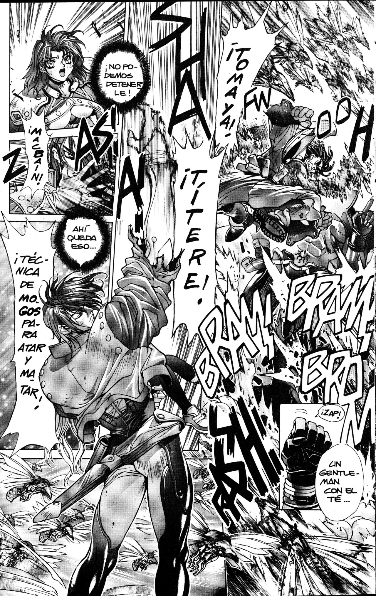 Read Bastard!! ES Manga Online