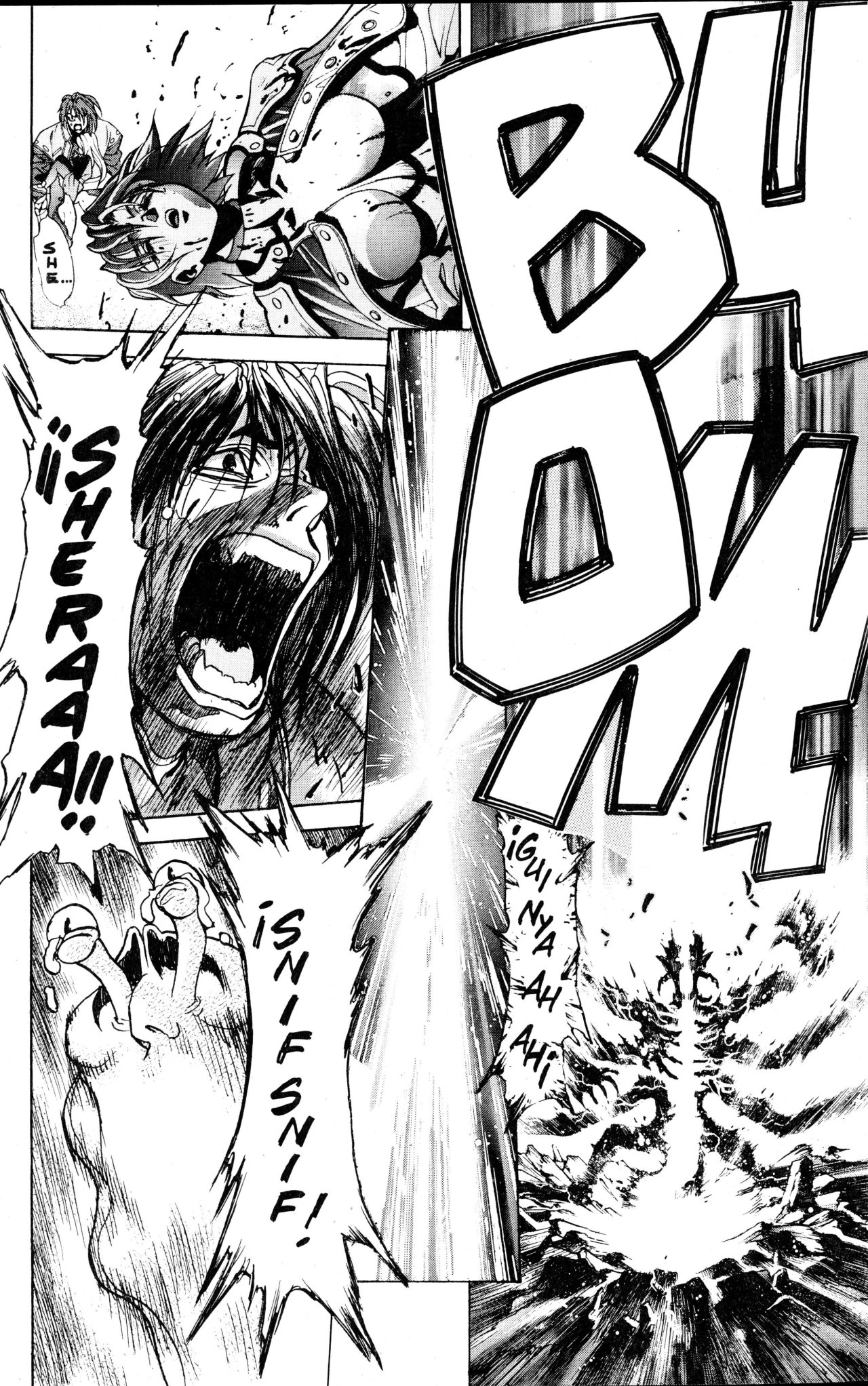 Read Bastard!! ES Manga Online