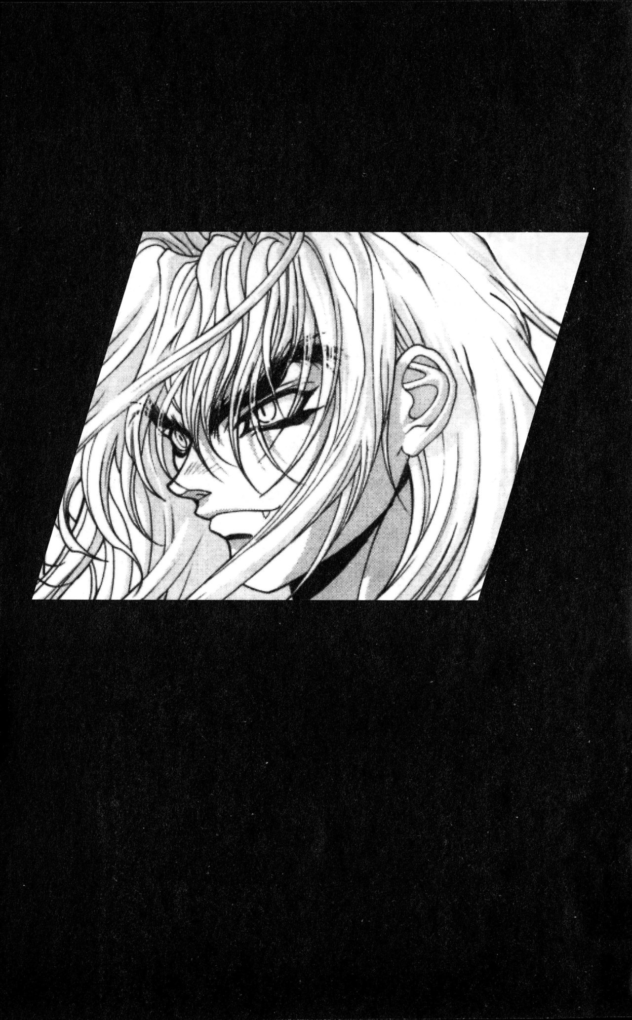 Read Bastard!! ES Manga Online