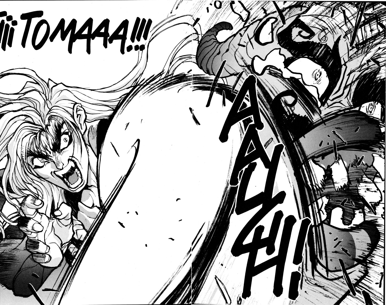 Read Bastard!! ES Manga Online