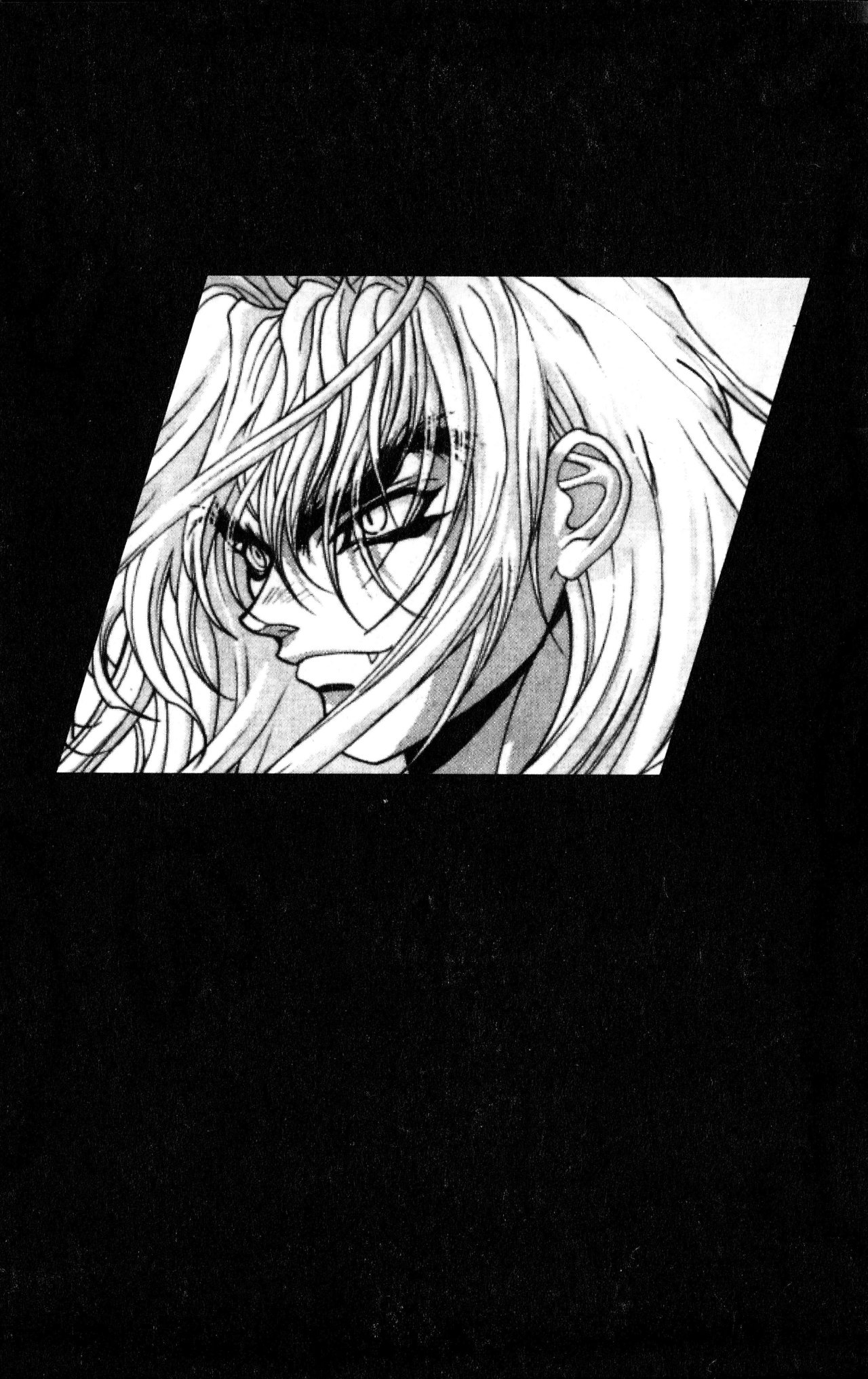 Read Bastard!! ES Manga Online