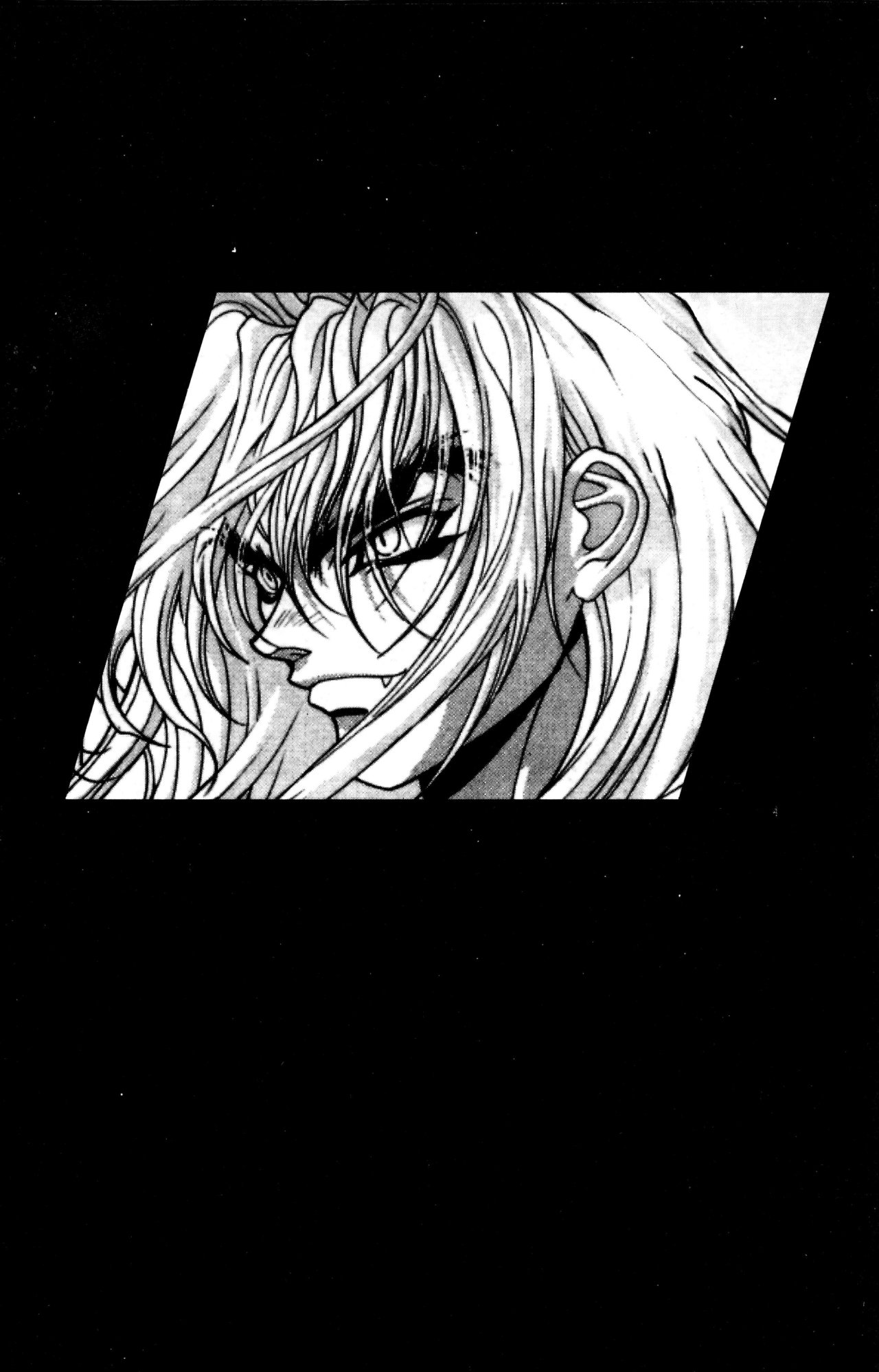 Read Bastard!! ES Manga Online