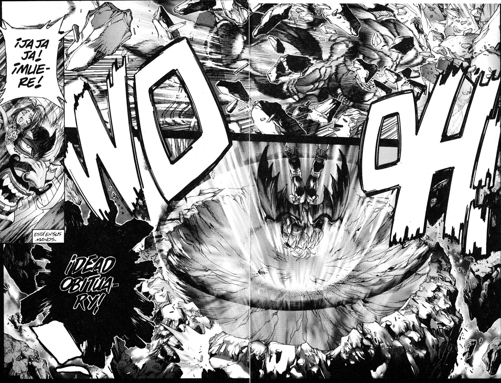 Read Bastard!! ES Manga Online
