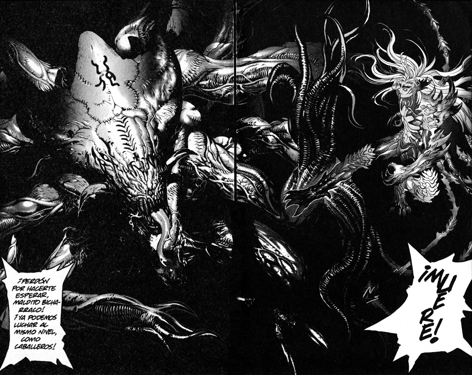 Read Bastard!! ES Manga Online