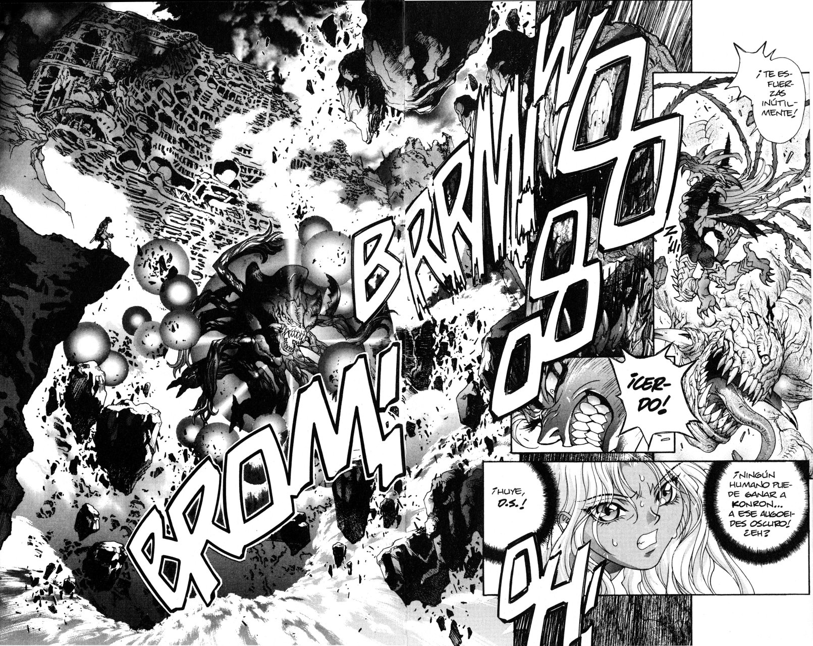 Read Bastard!! ES Manga Online